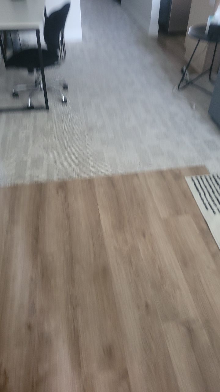 Mold Remediation  by Accountable Home Services