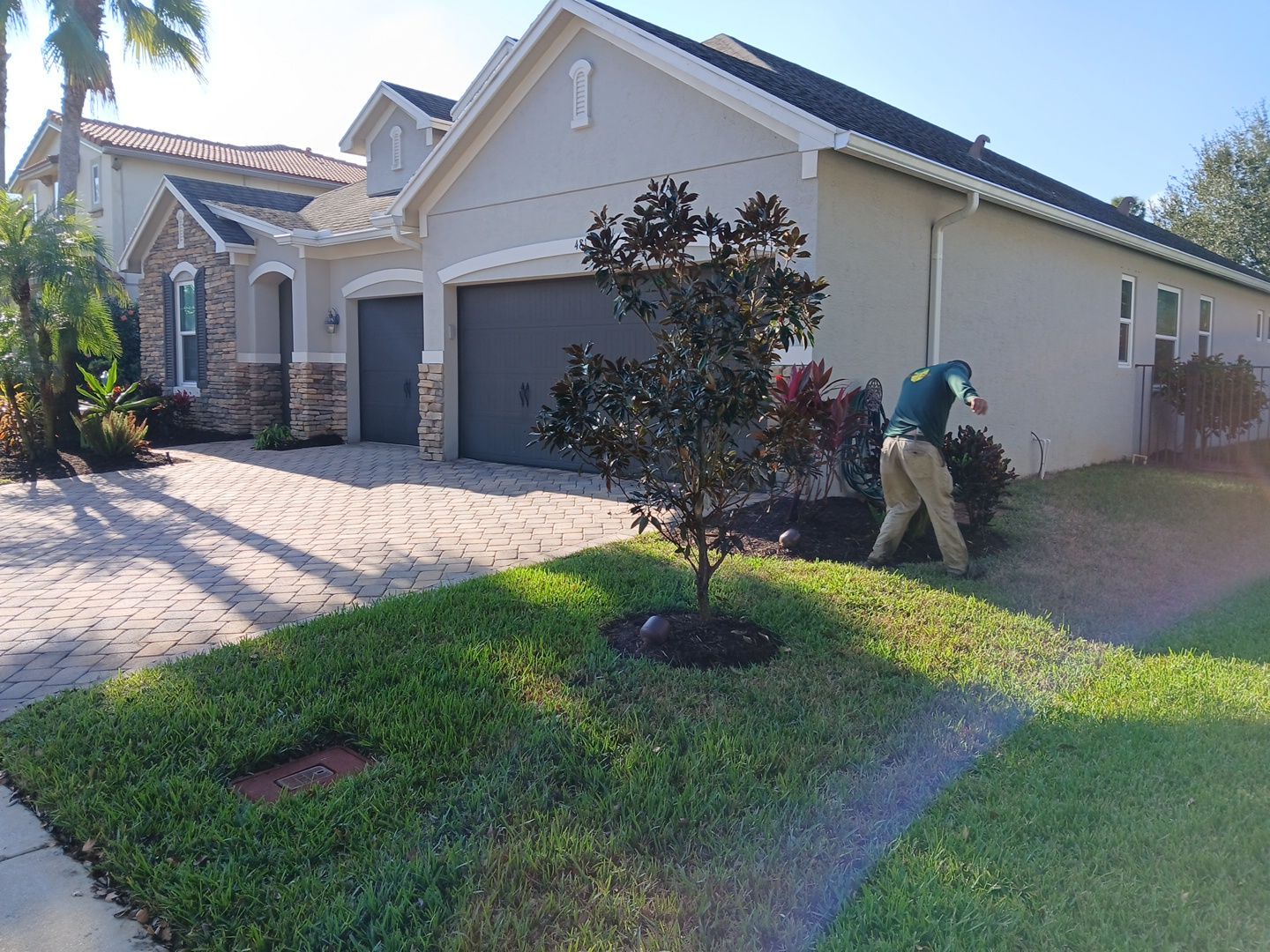 🌿✨ “Snip, Tip & Total Plant Care Bliss” in Palm City ✨🌿 by Alpha Zeta Enterprises Inc