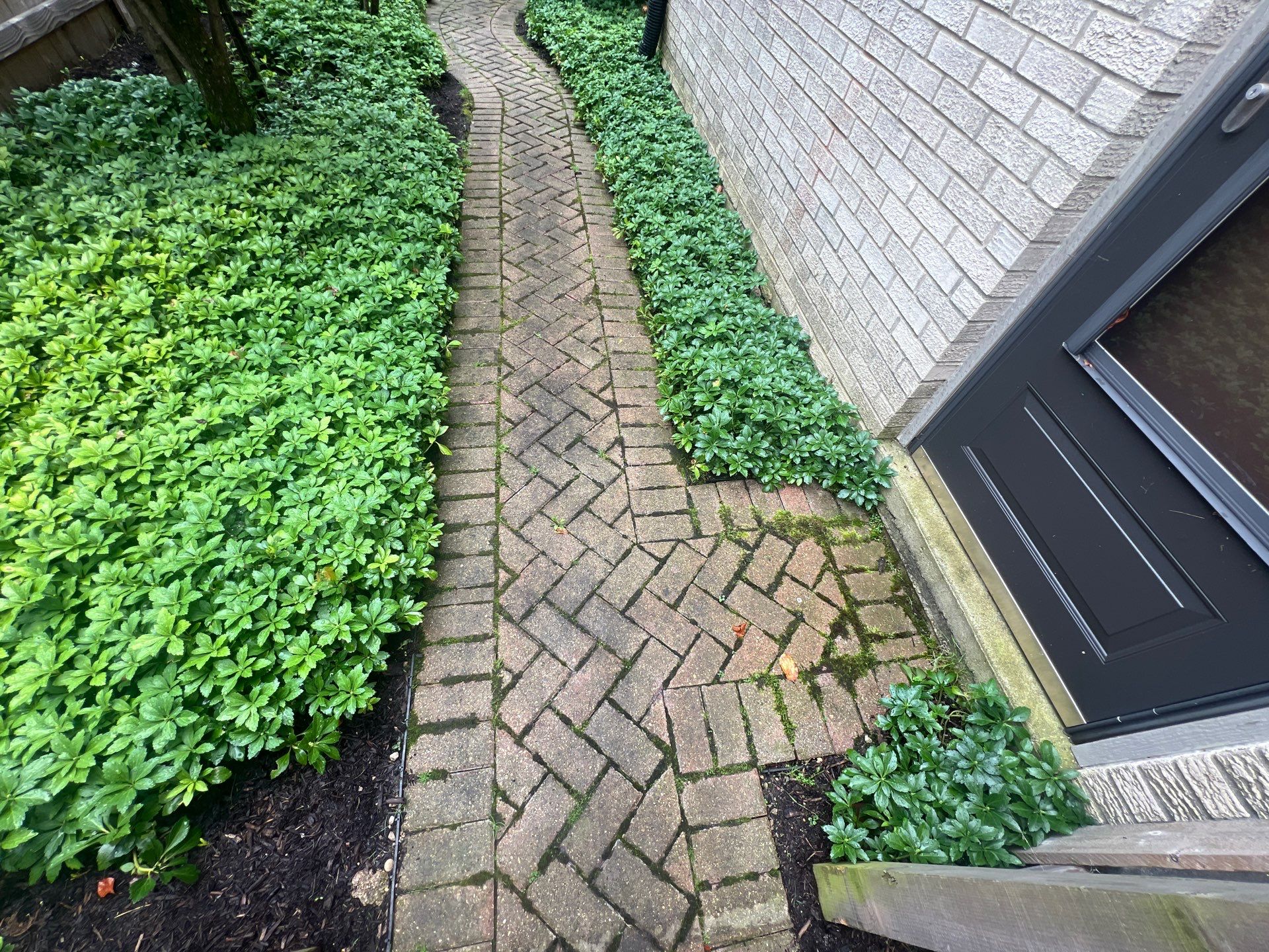 Brick paver clean, sand and seal.  using Surebond SB-1300 by Northern Power Washing LLC.