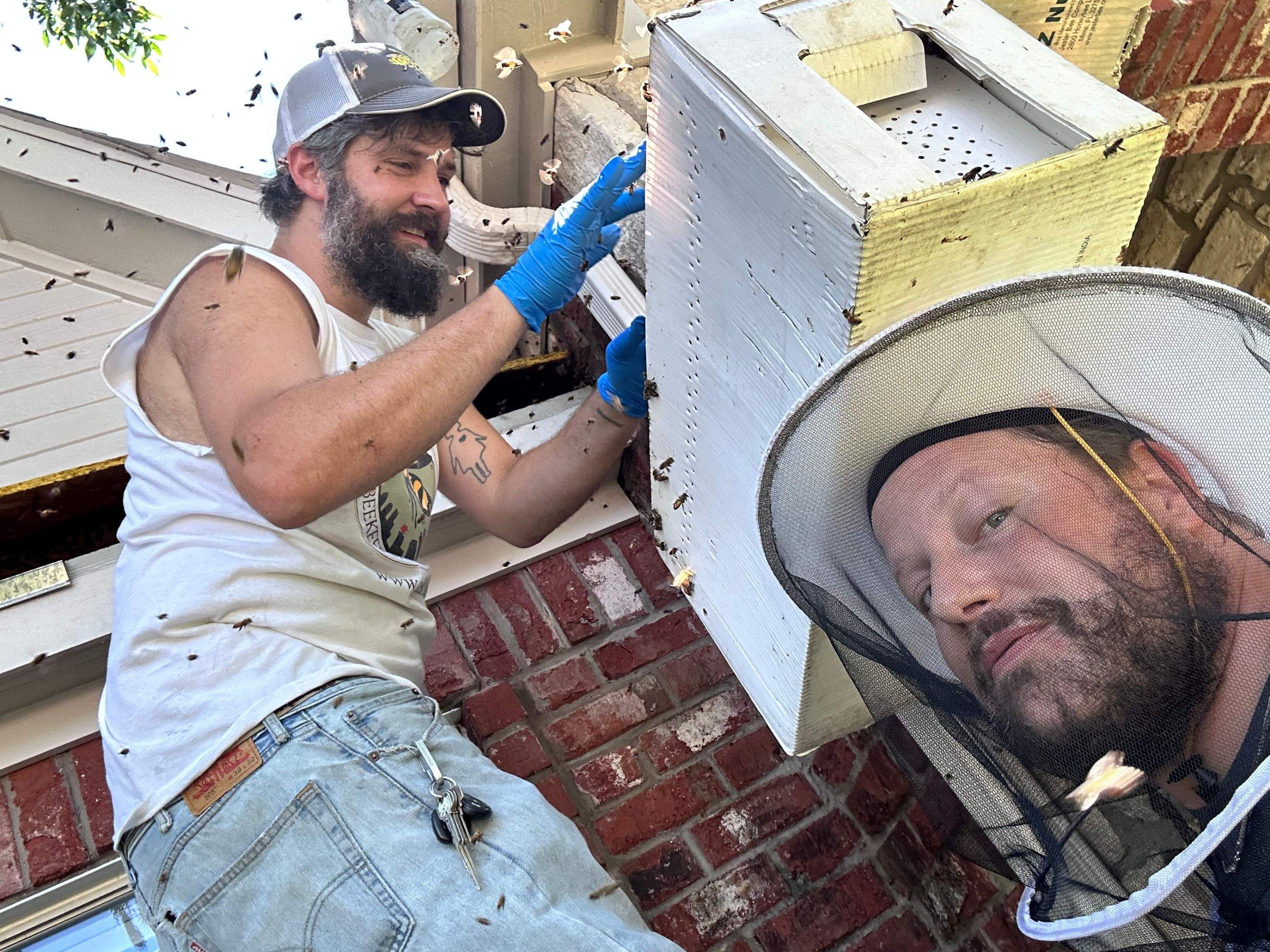 Dormer Window by Rockwall Honey Bee Company