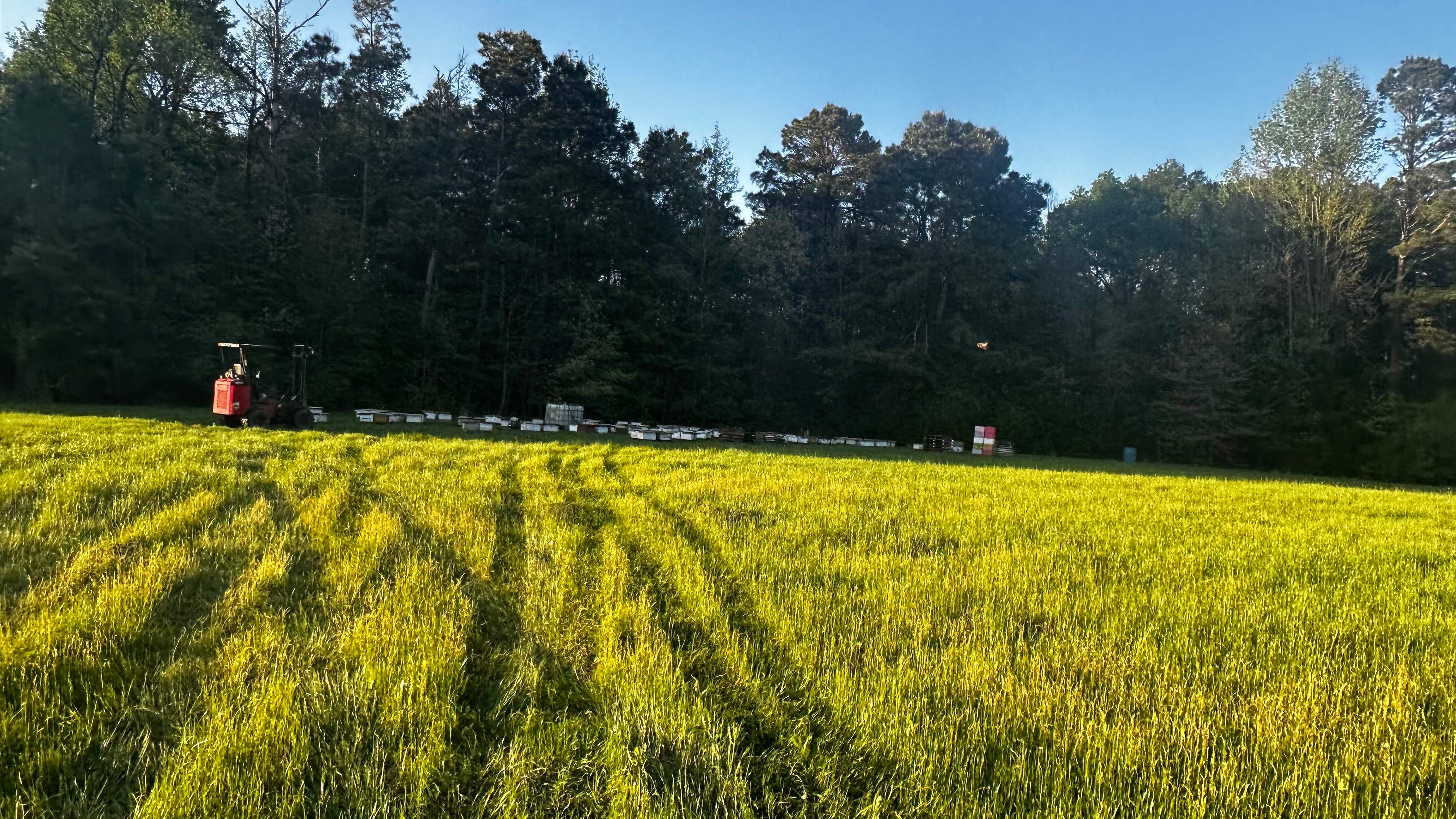 Traylor's Hay Meadow Apiary by Rockwall Honey Bee Company