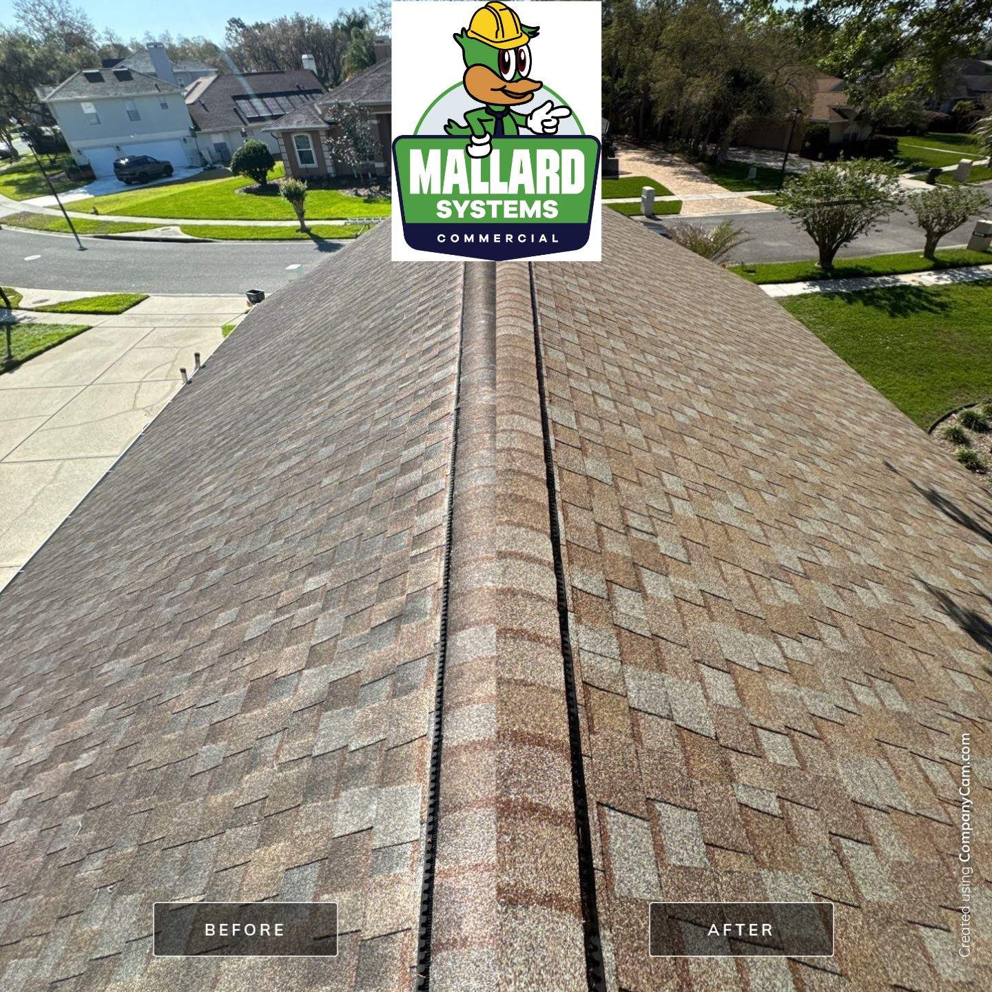 Shingle Roof Cleaning by Mallard Systems