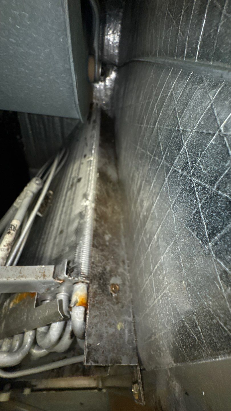 Air Duct Cleaning in Groveland by Hygienic Air, Inc