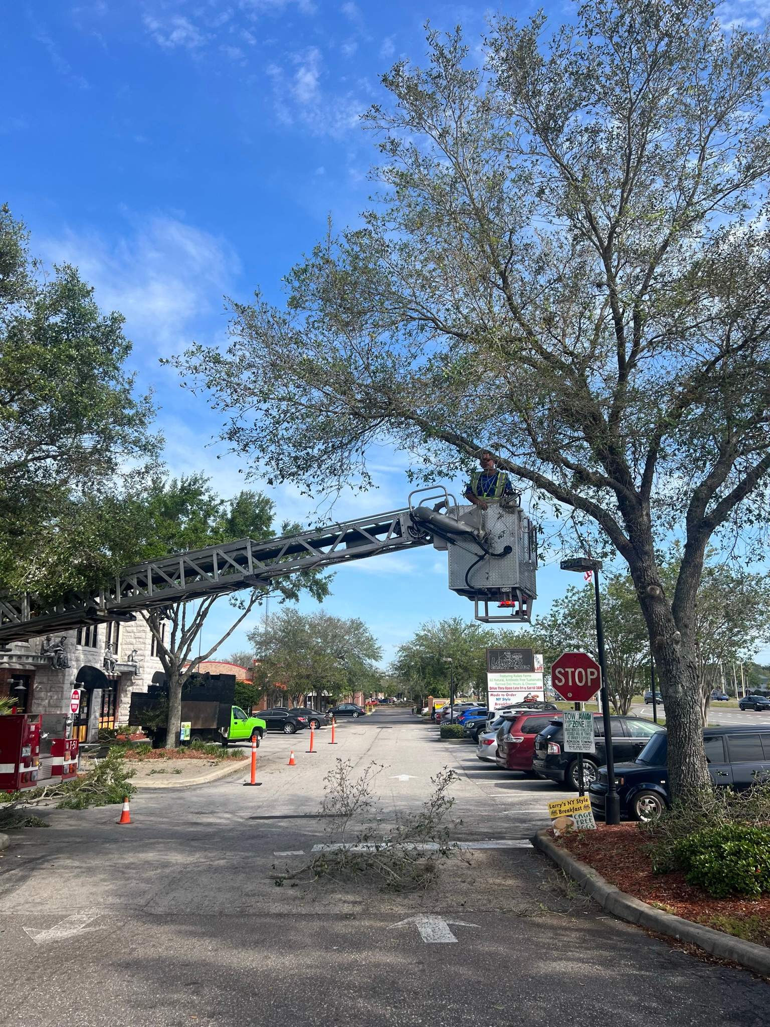 Tree Trimming | Larry's Giant Subs by ProGreen Services