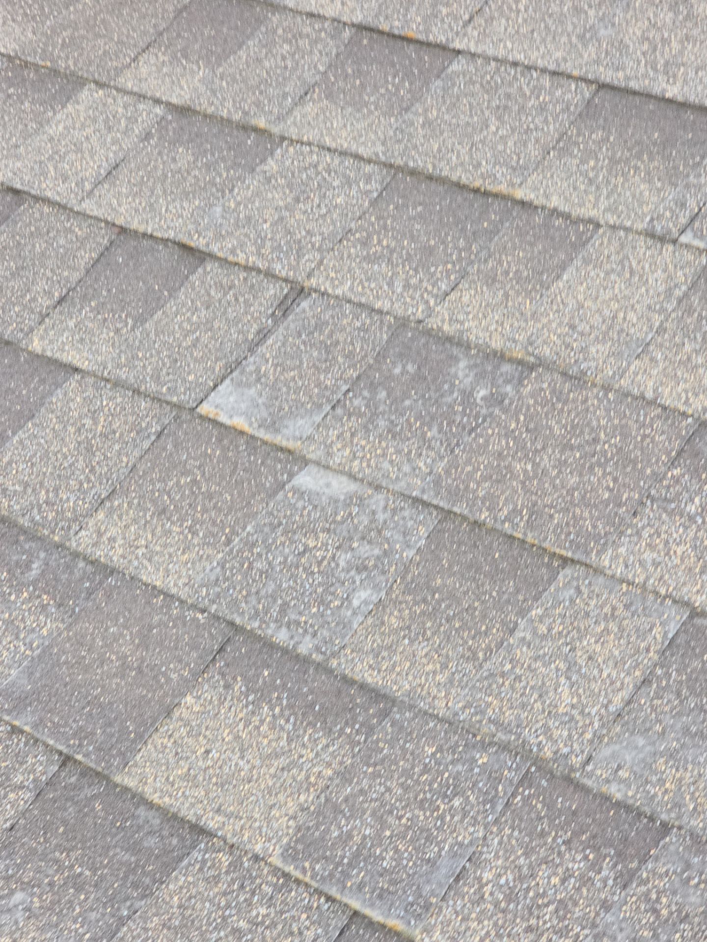 Roof Rejuvenation using Roof Maxx Treatment by Roof Maxx of Folsom