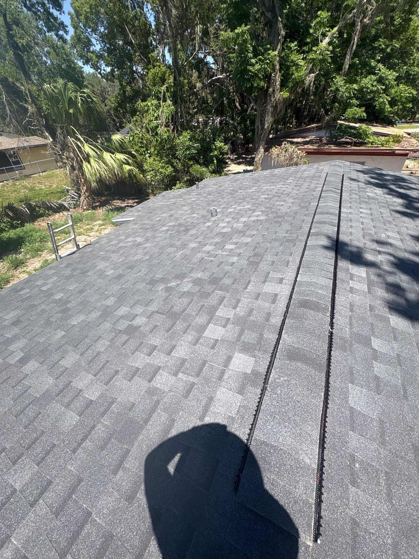 Shingle Reroof Replacement Leesburg FL by Pinnacle Roofing Group