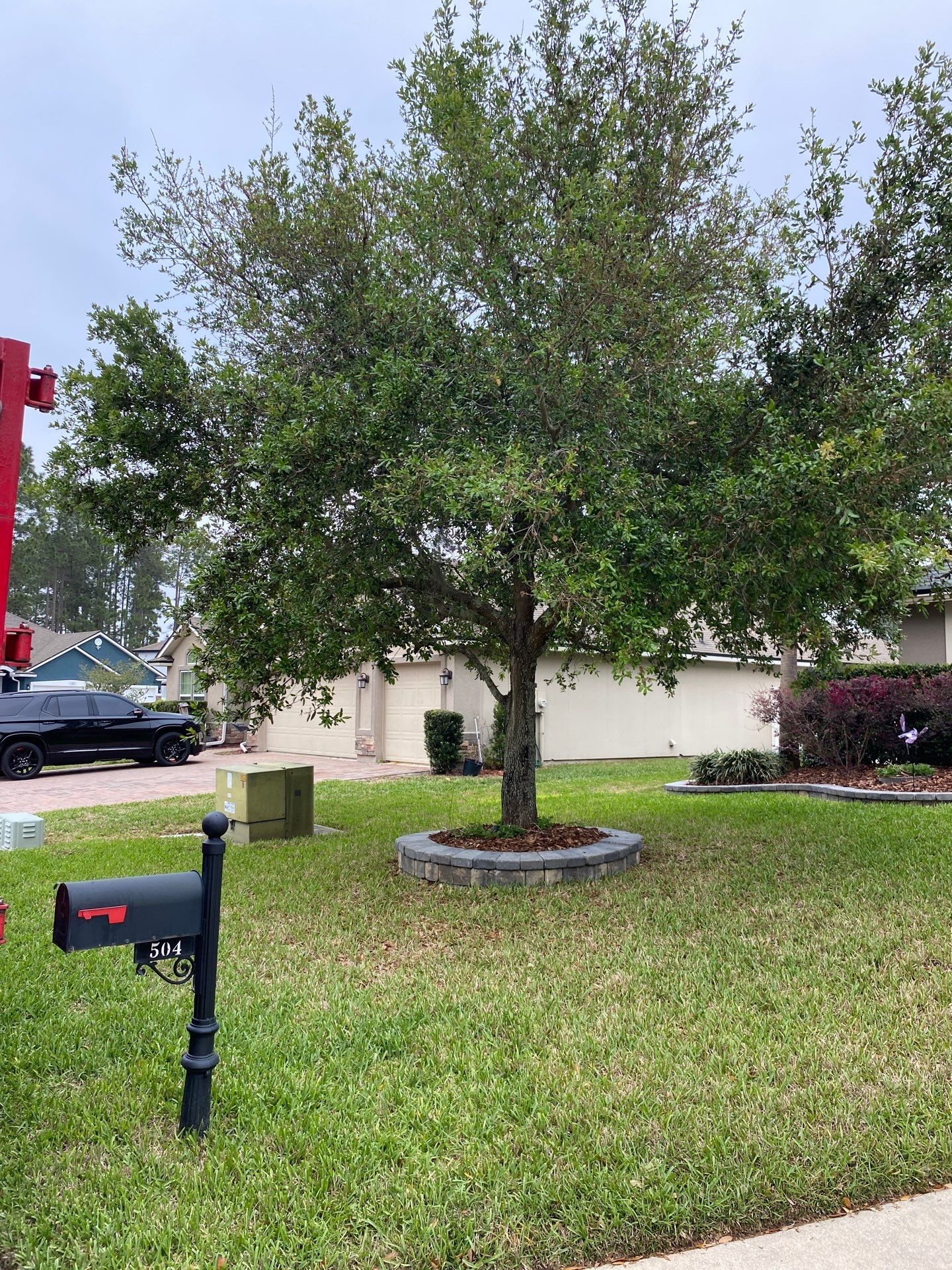 Residential | Tree Service by ProGreen Services