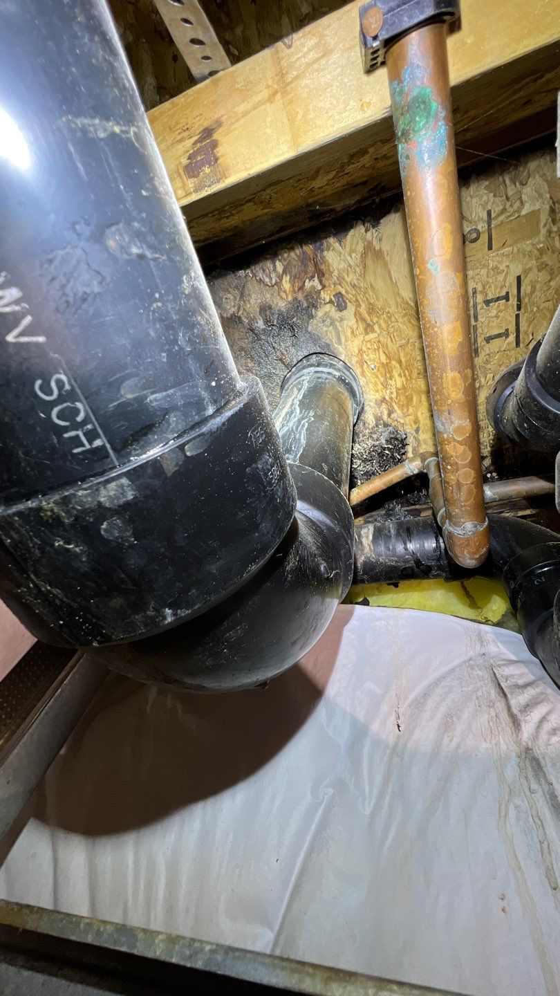 Mold Remediation by Accountable Home Services