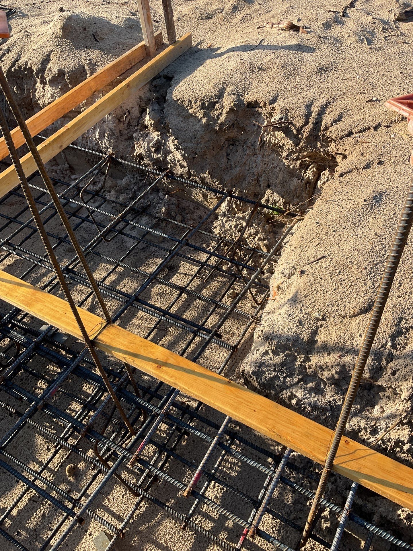 TRACTOR SUPPLY NAPLES by Southern Gulf Construction