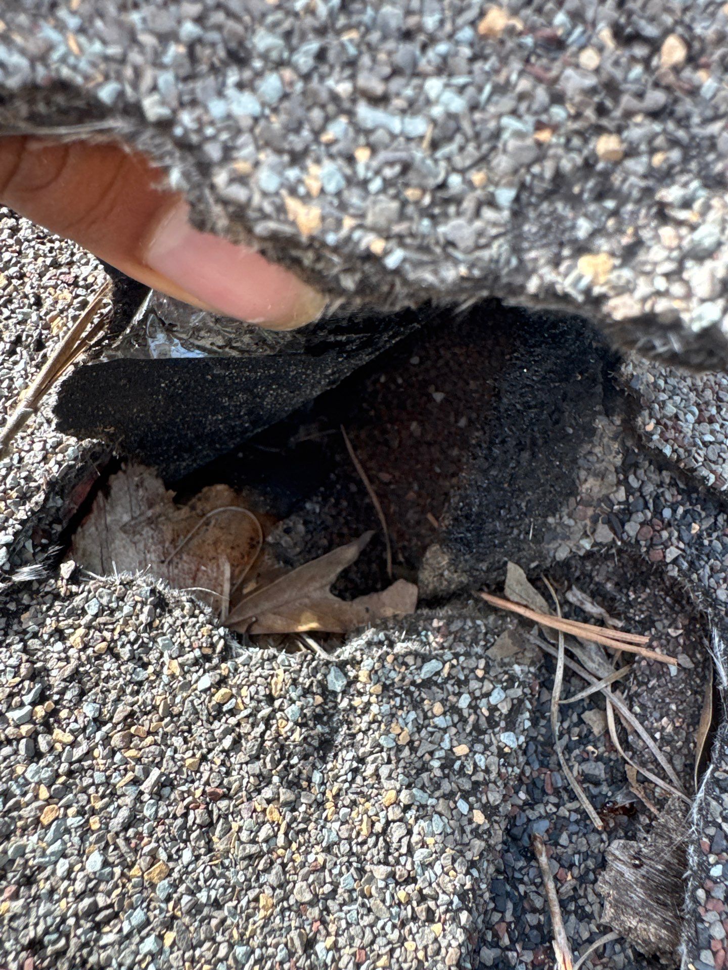 Roof Repair Grangerland by Roof Repair Services LLC