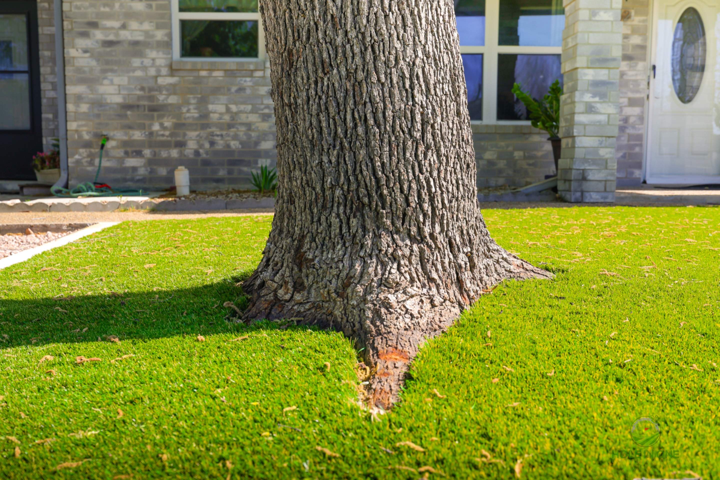 Gruene, New Braunfels TX by Hole In One Lawns, LLC