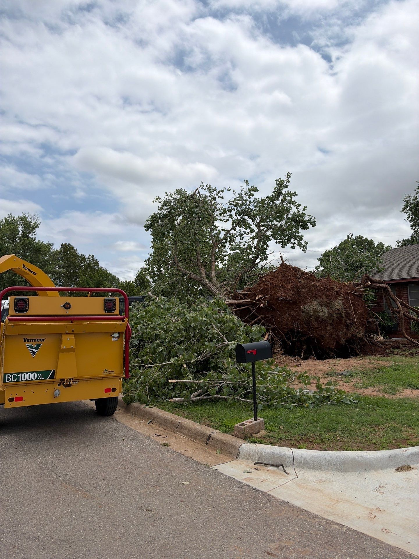 Emergency Tree Removal and Sod Installation Restoration in Lawton by Clays Services Inc