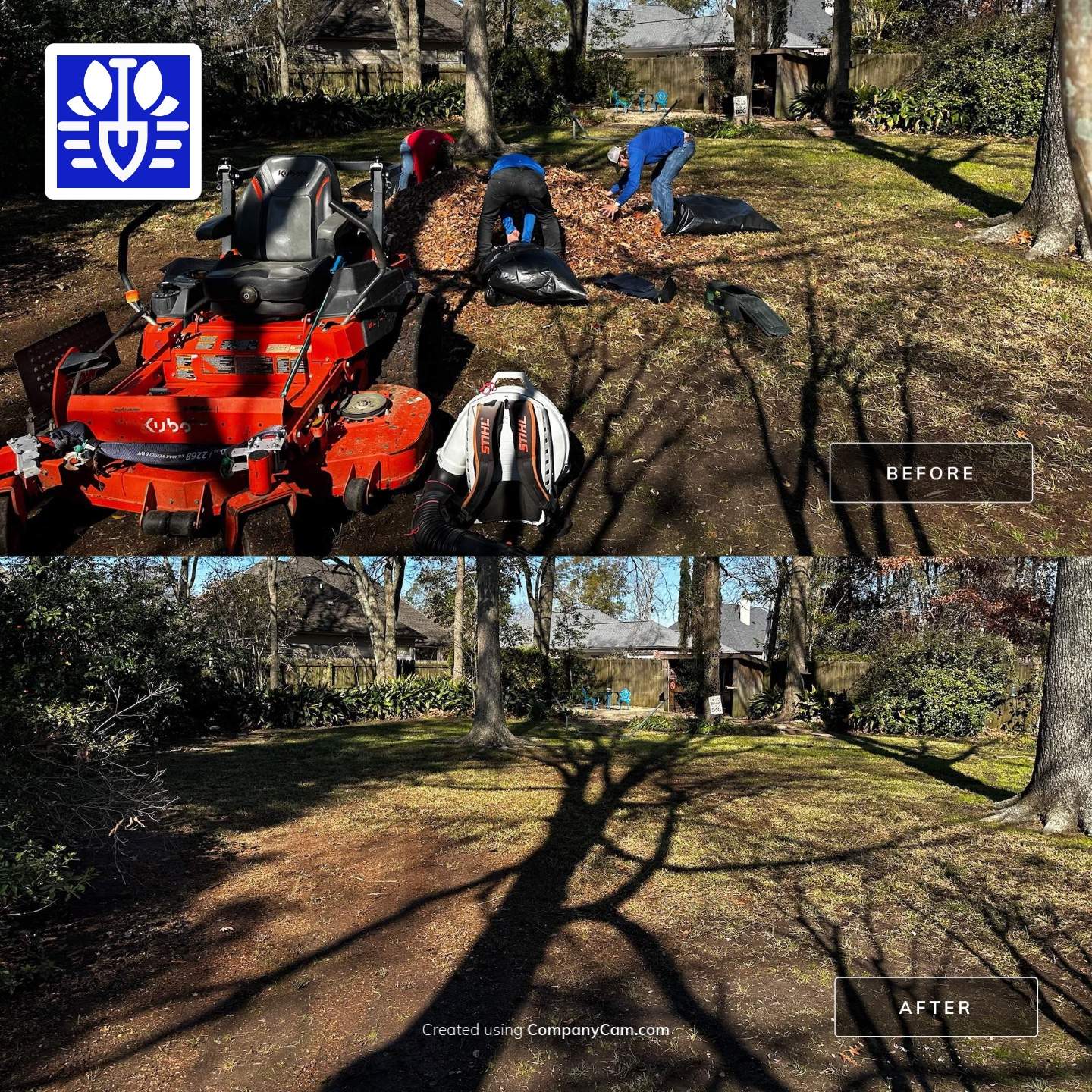 WINTER SERVICES: FULL LEAF JOB by CutScape, LLC.
