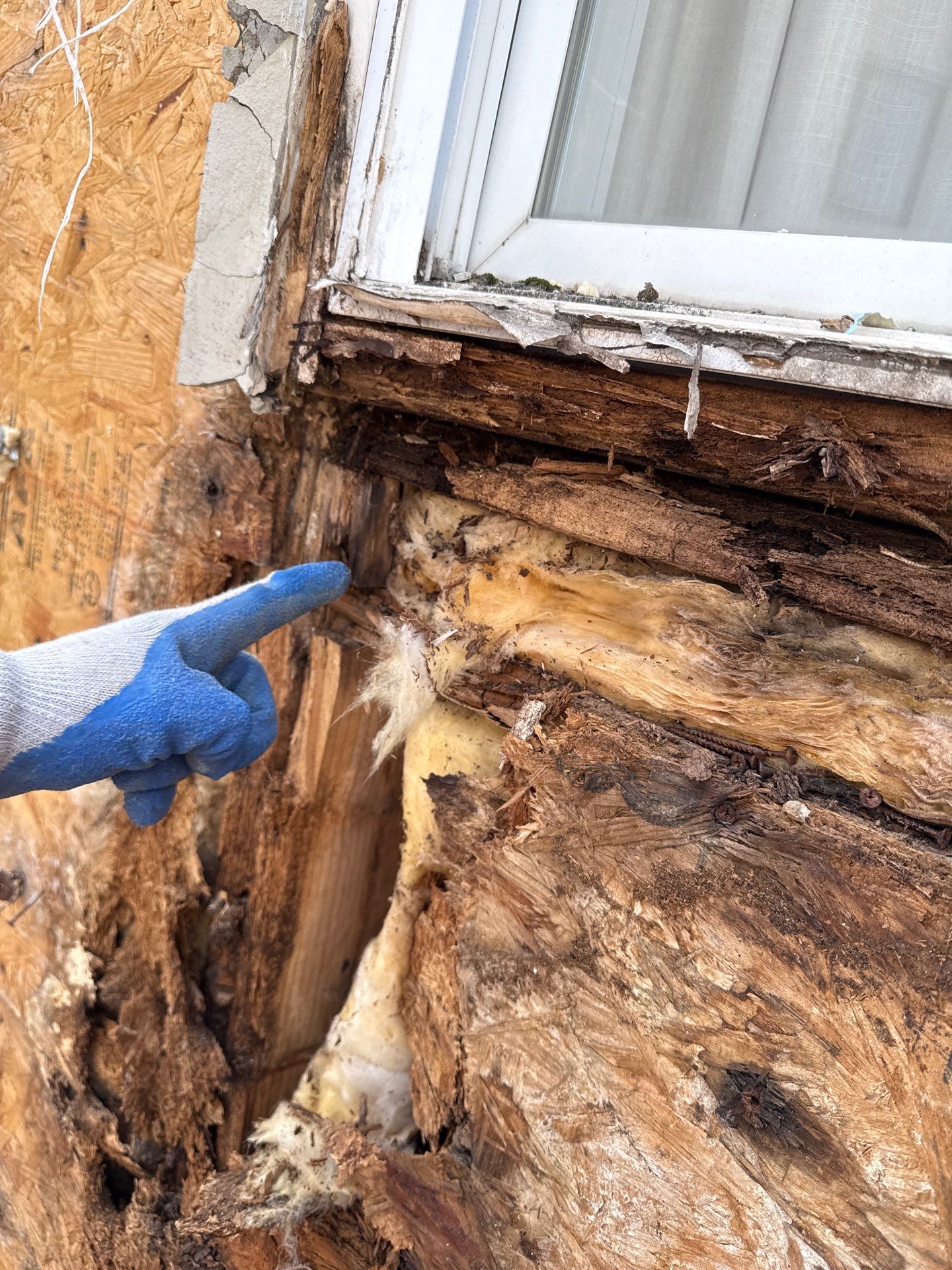 Back Wall & Fiberglass Roof deck Remediation by Philadelphia Quality Roofing