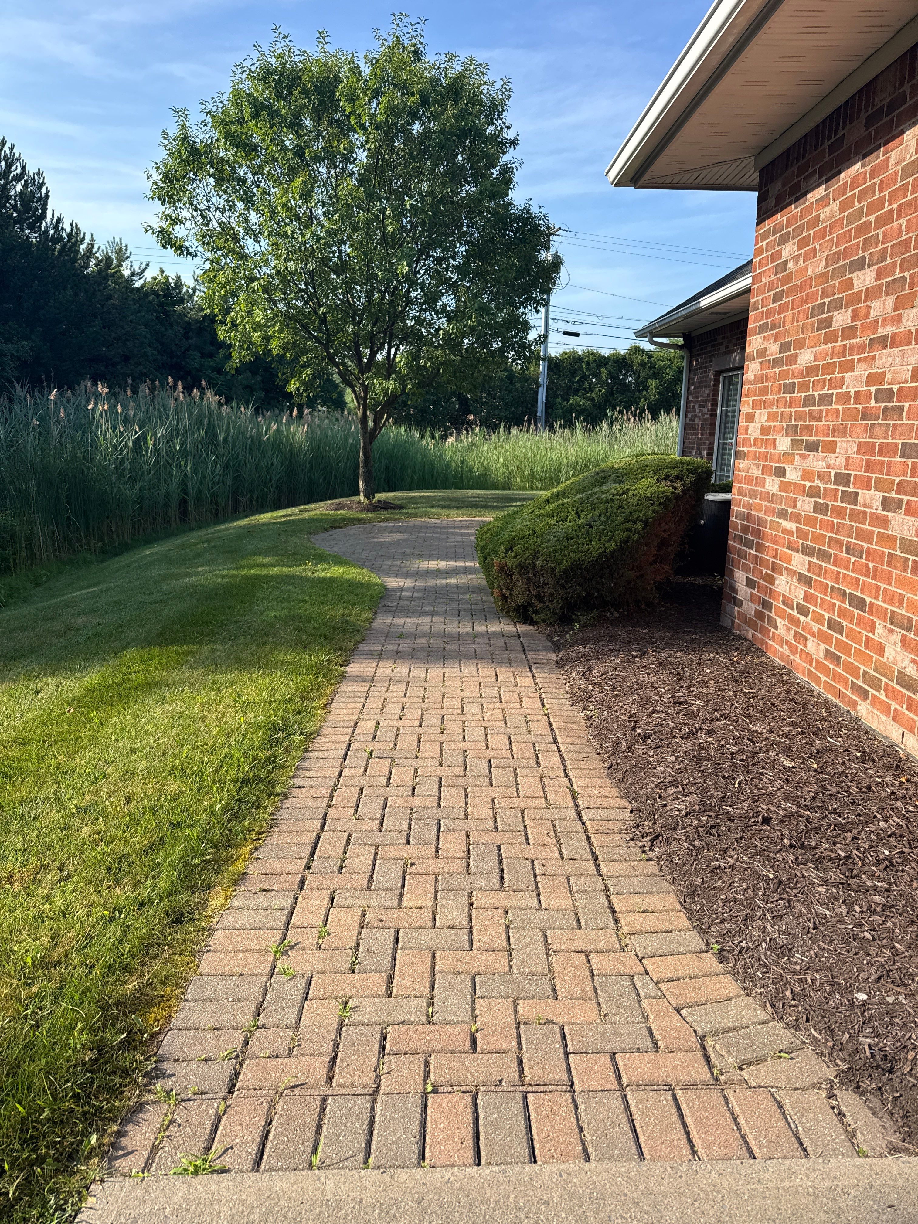 Wladis Lawn Project in East Syracuse, NY by Pro Snow Removal