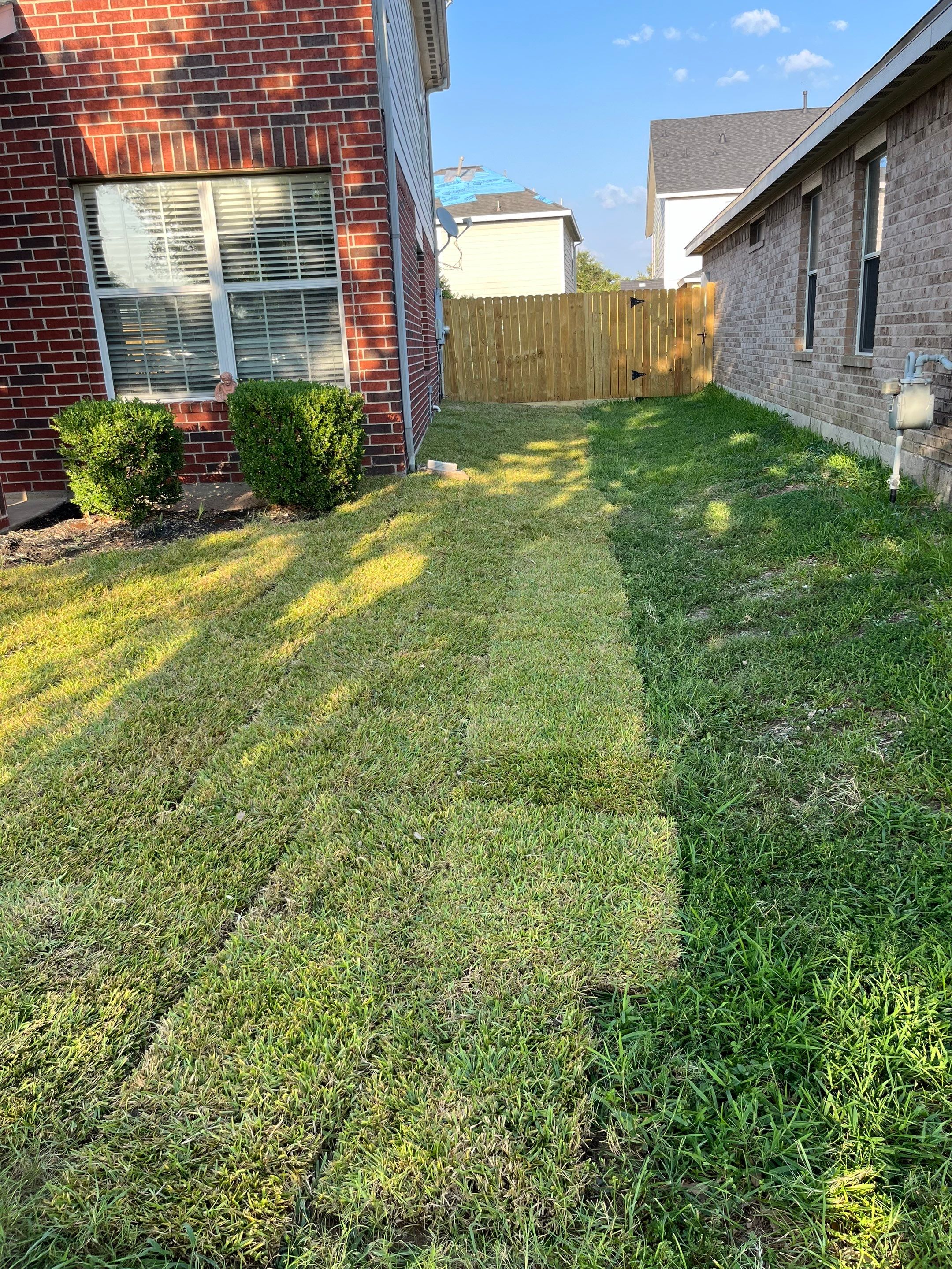 Sandra — Front & Backyard Leveling, Drainage, and Sod Transformation by Texas Urban Elements