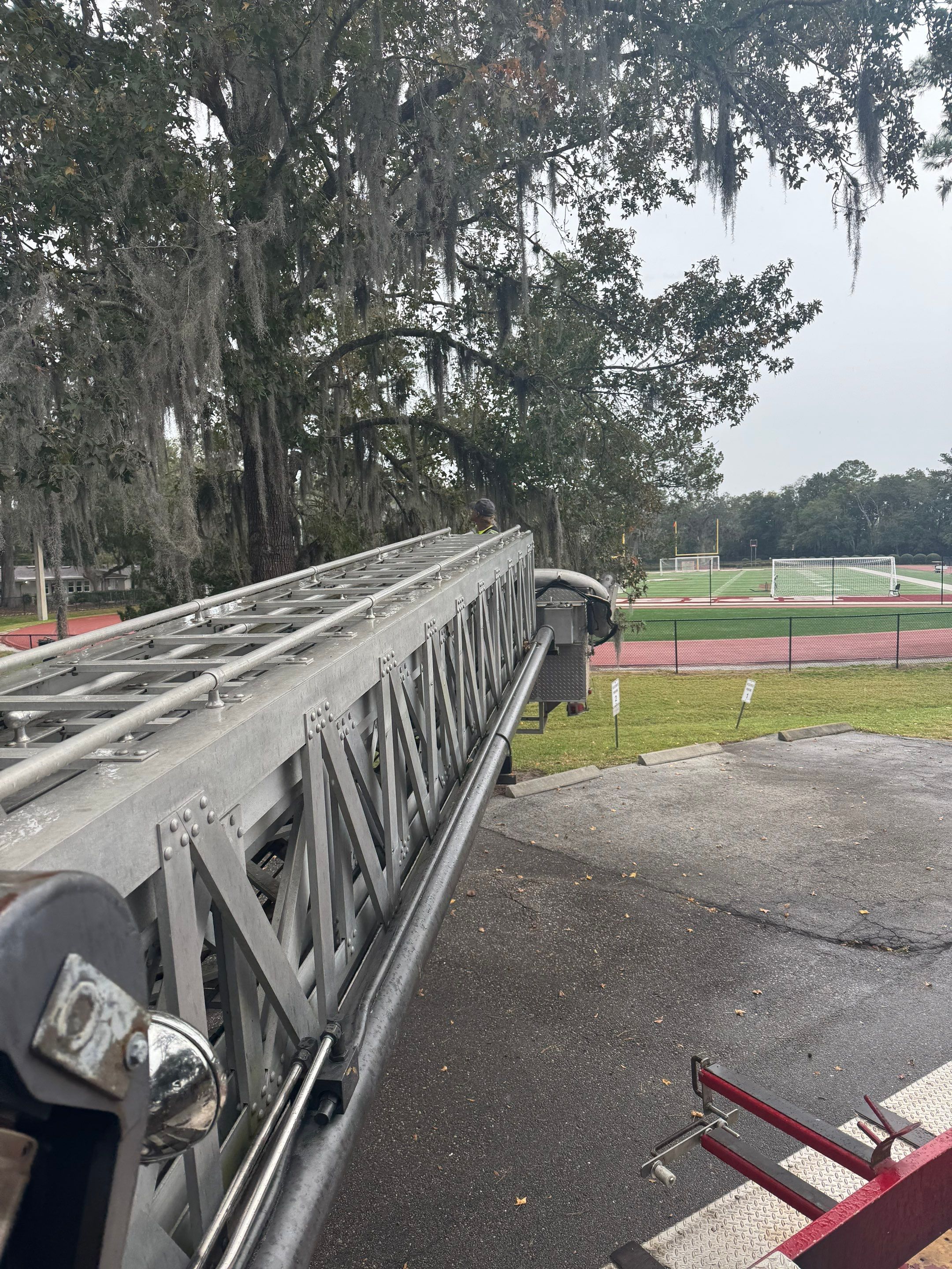 Volunteer Work | Episcopal High School of Jacksonville by ProGreen Services