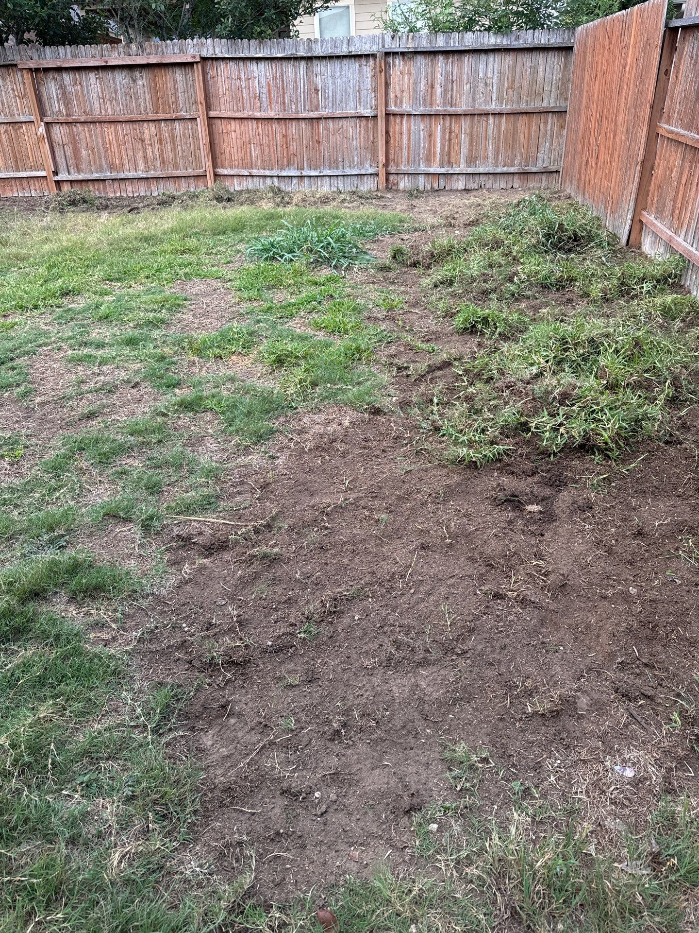 Wortham Oaks - San Antonio, TX by Hole In One Lawns, LLC