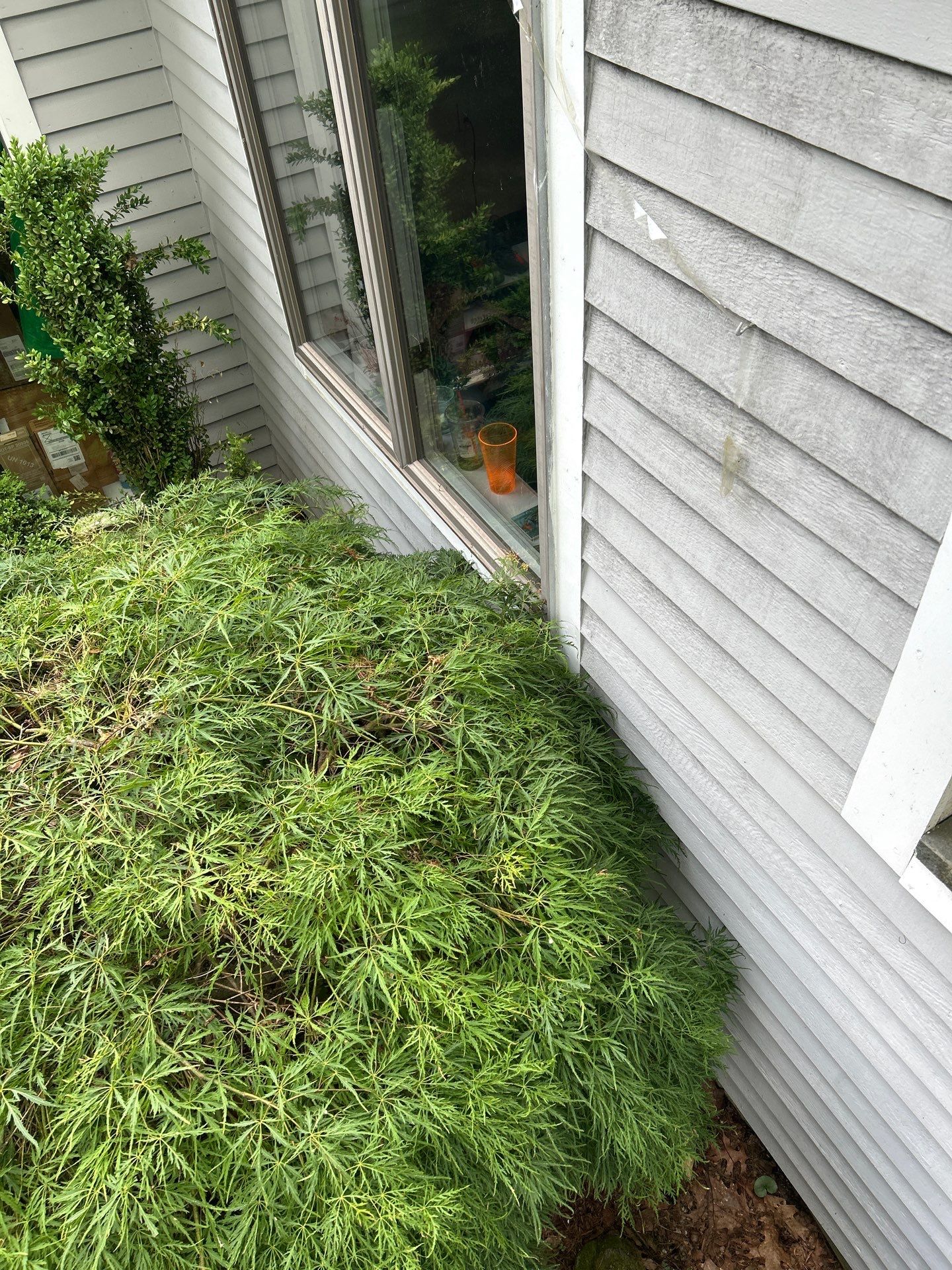 Siding | Concord by Mighty Dog Roofing of Greater Middlesex County