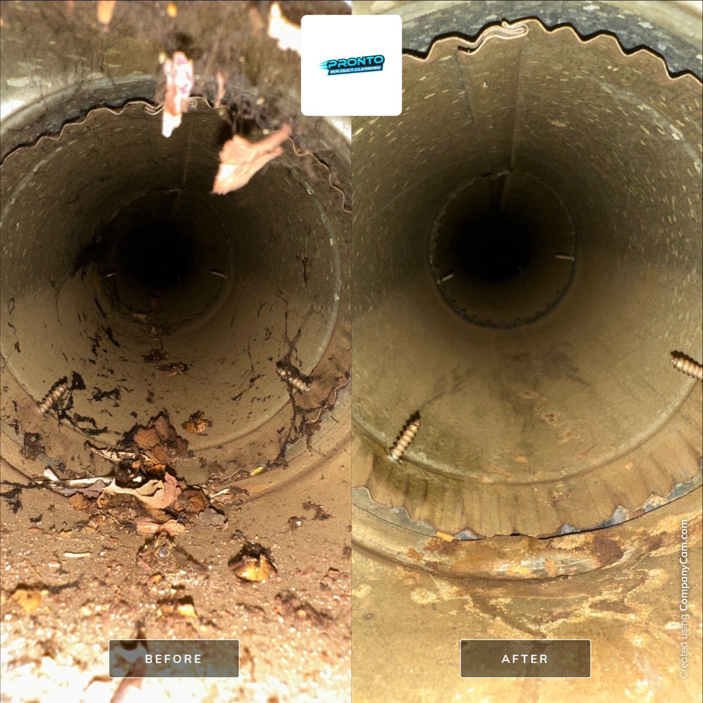 Air Duct Cleaning Warrenton, VA by Pronto Air Duct Cleaning