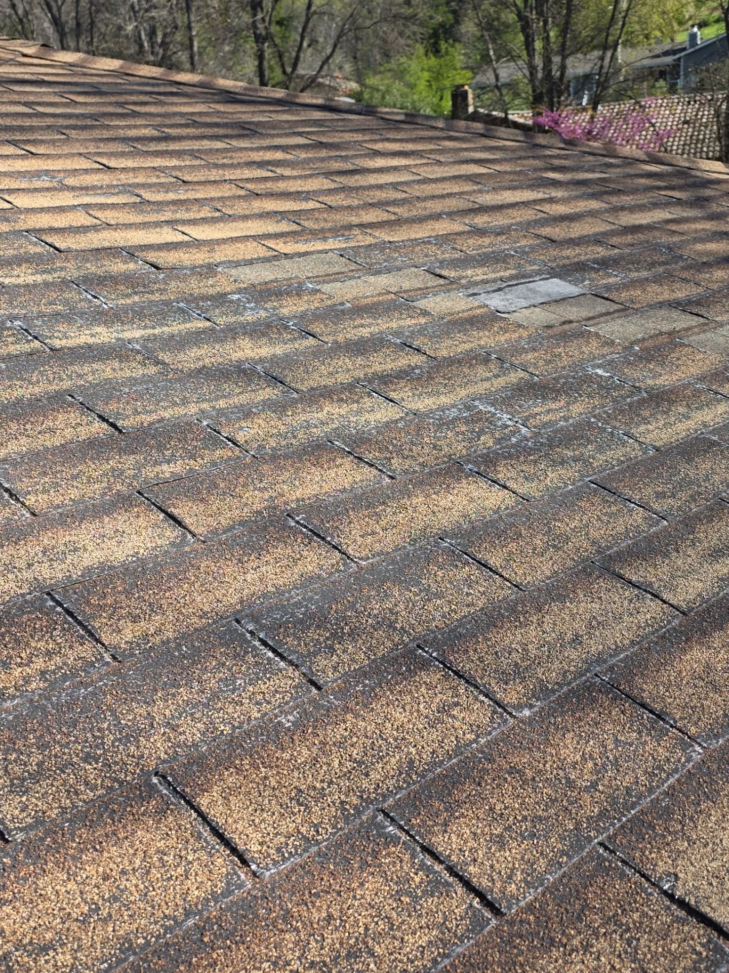 Roof Rejuvenation using Roof Maxx Treatment by Roof Maxx of Folsom
