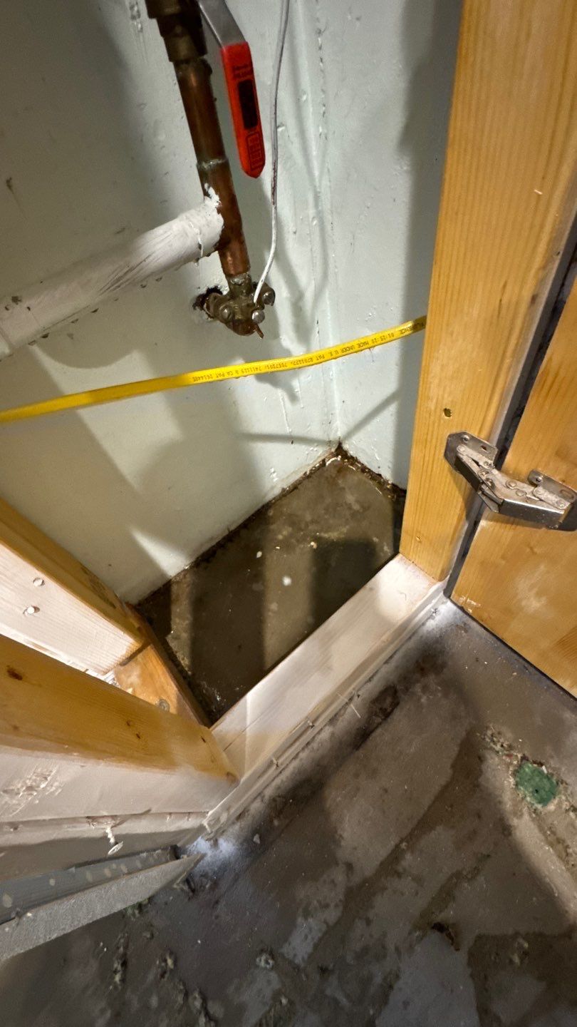 Mold Project in Thornton by Accountable Home Services