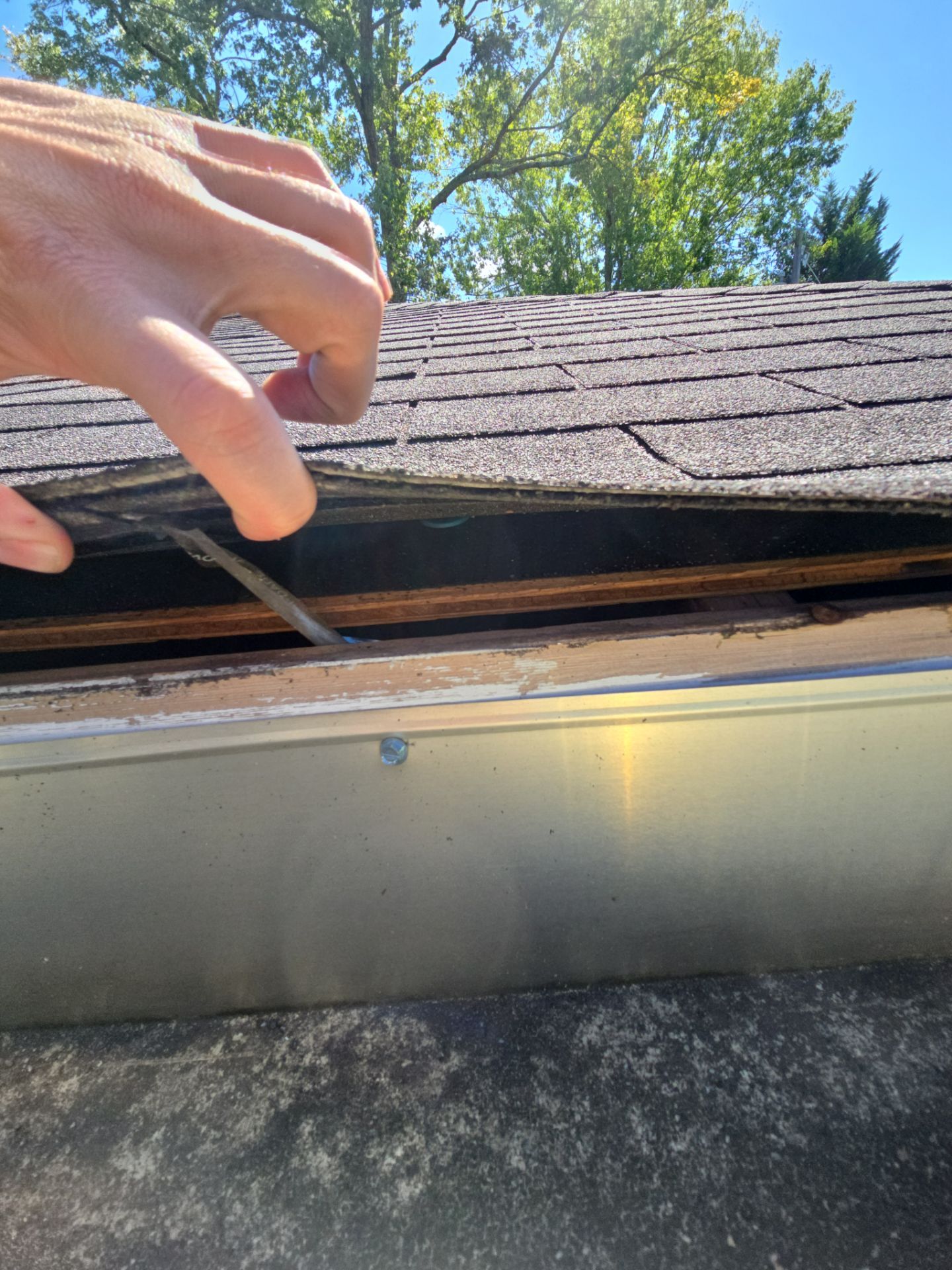 Roof replacement by hail and wind damage by Just Brilliant Restoration JBR