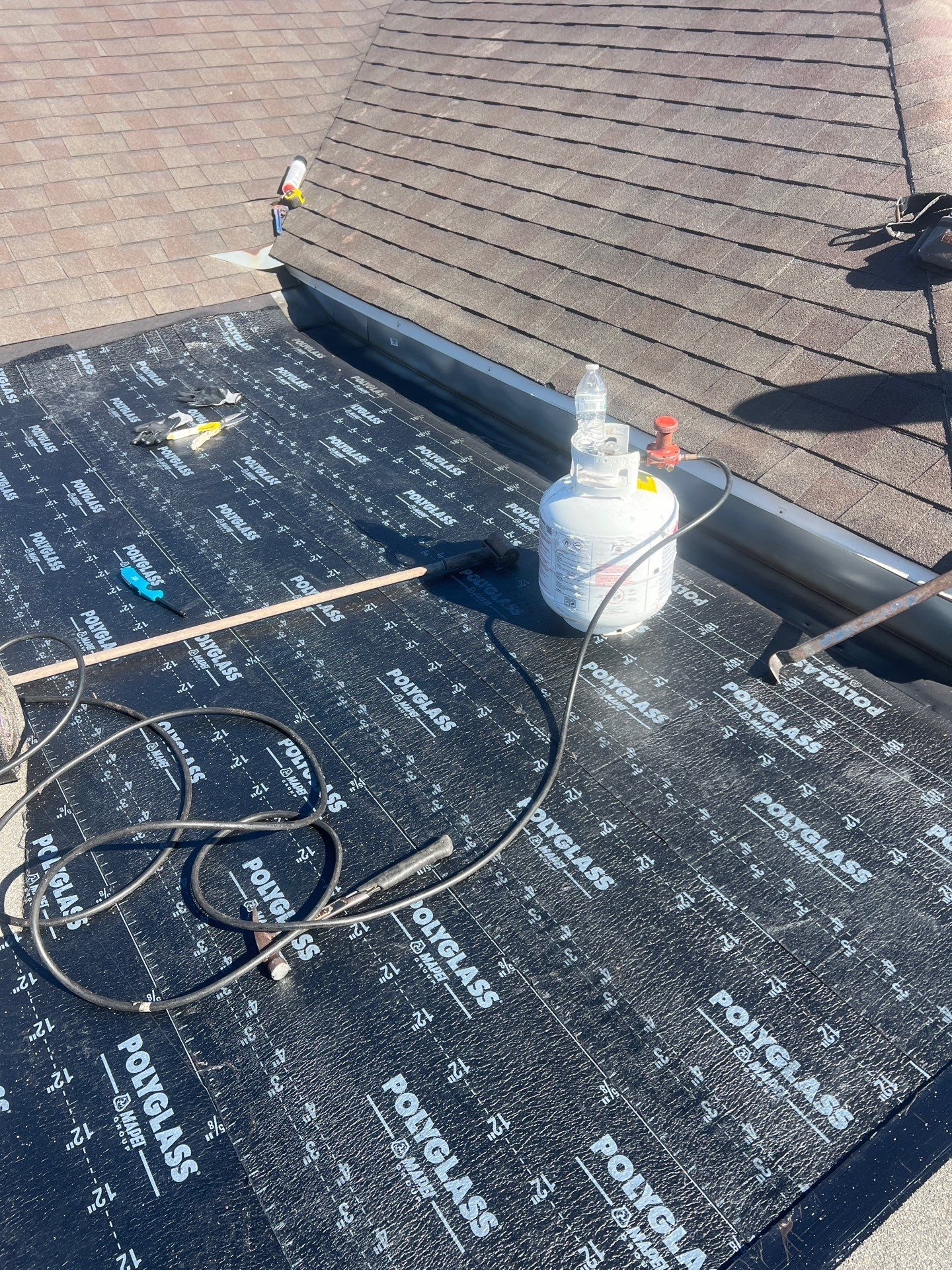 It Ain't Easy getting Shady  by Bayfront Roofing and Construction