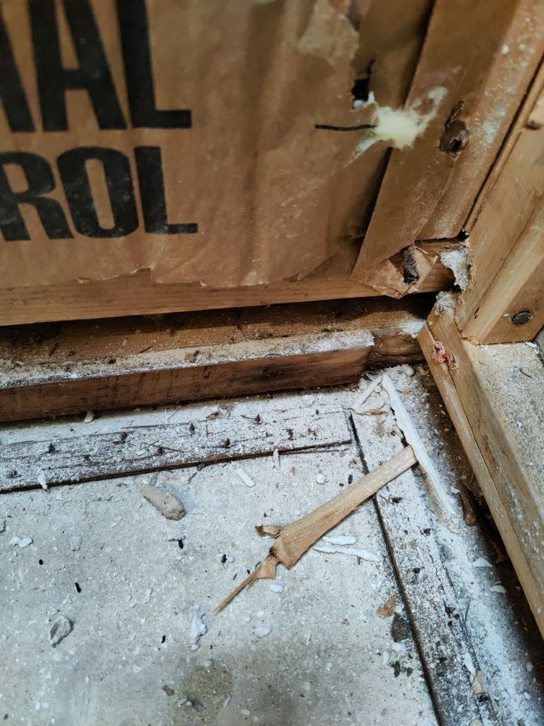 Mold Remediation by Accountable Home Services