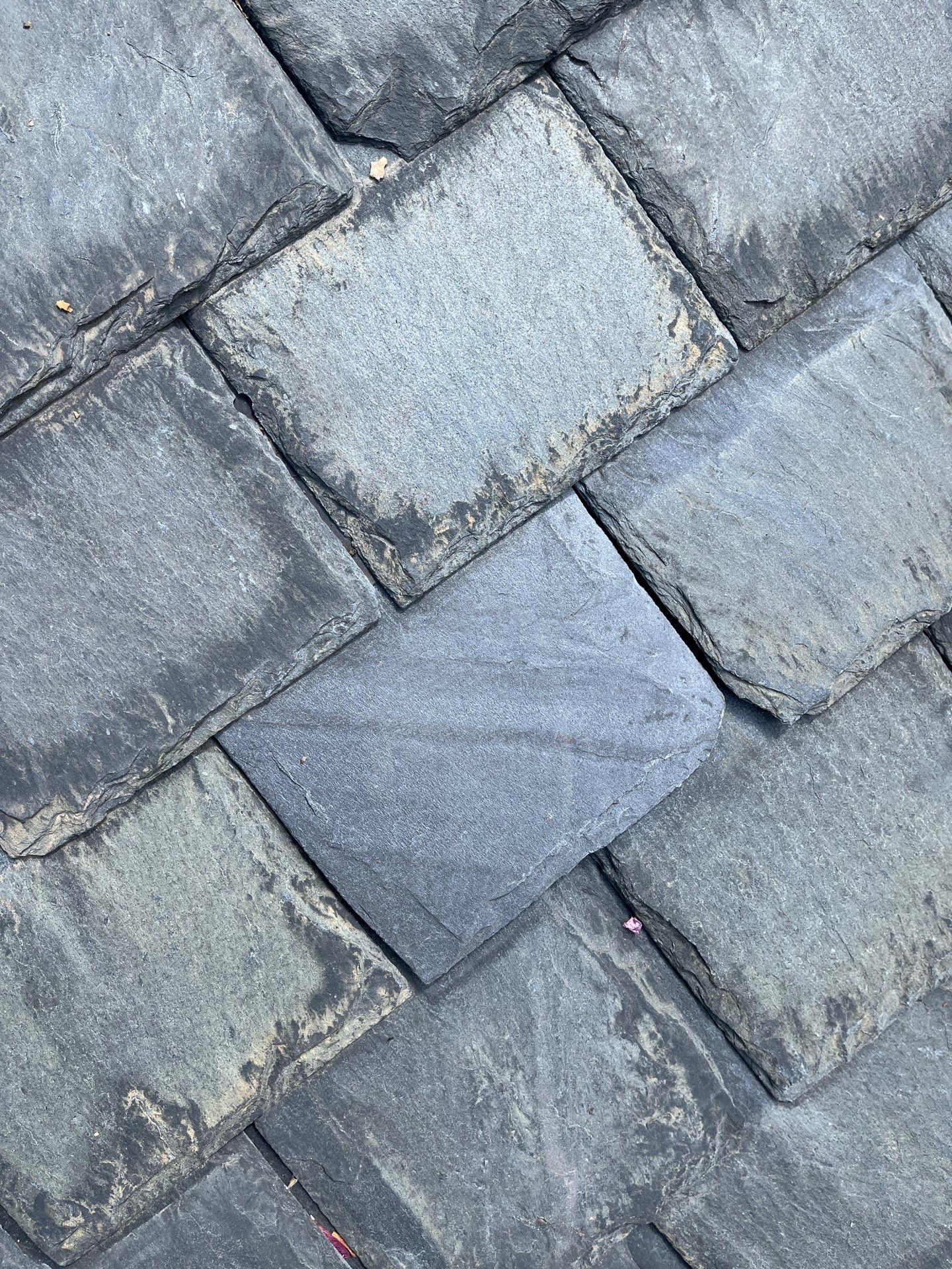 Arlington: Buckingham Slate and Carlisle Syntec TPO Roof by RM Banning, Inc.