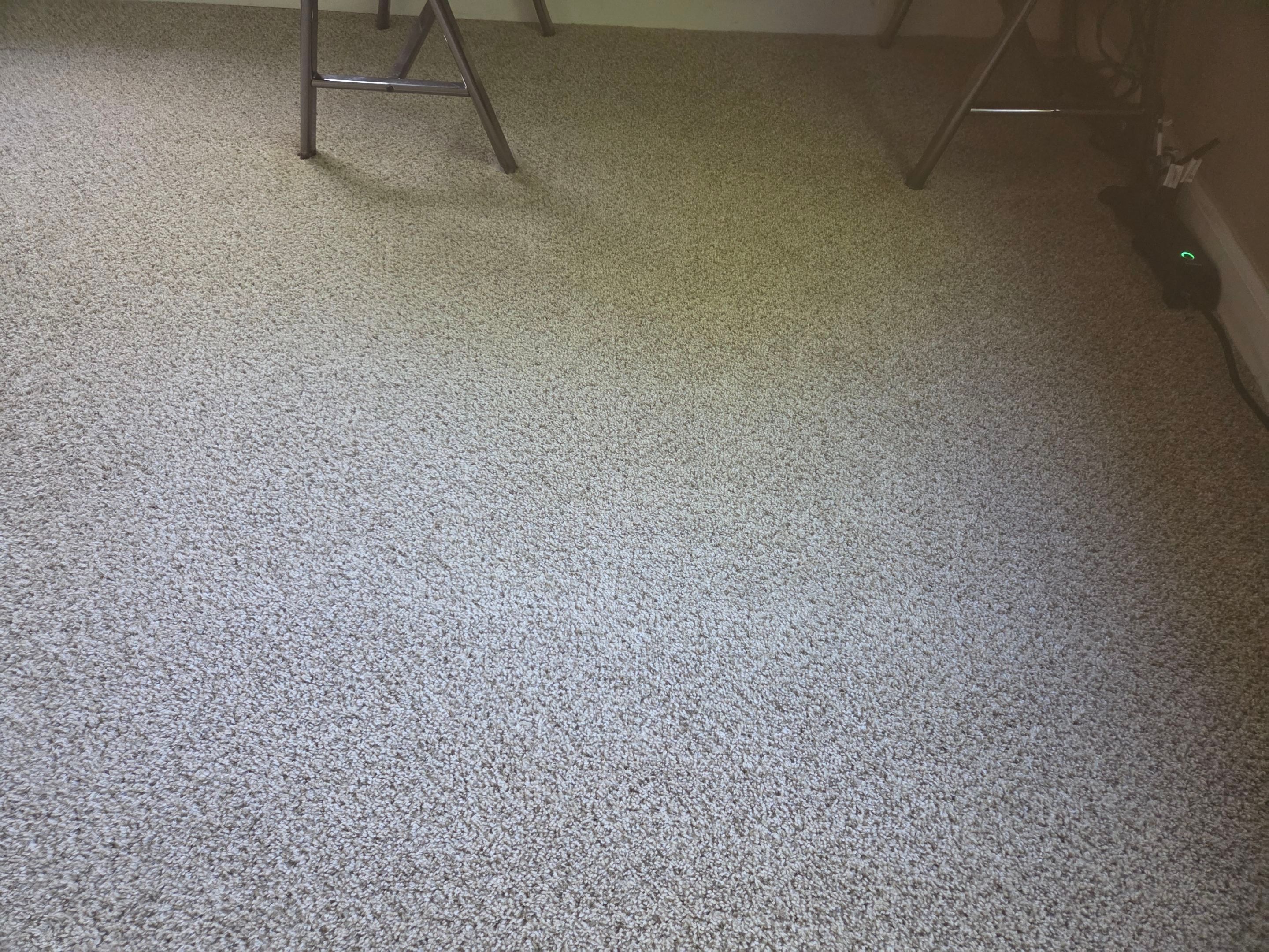 Carpet Cleaning with Stain Removal by Ardent Carpet Restore LLC