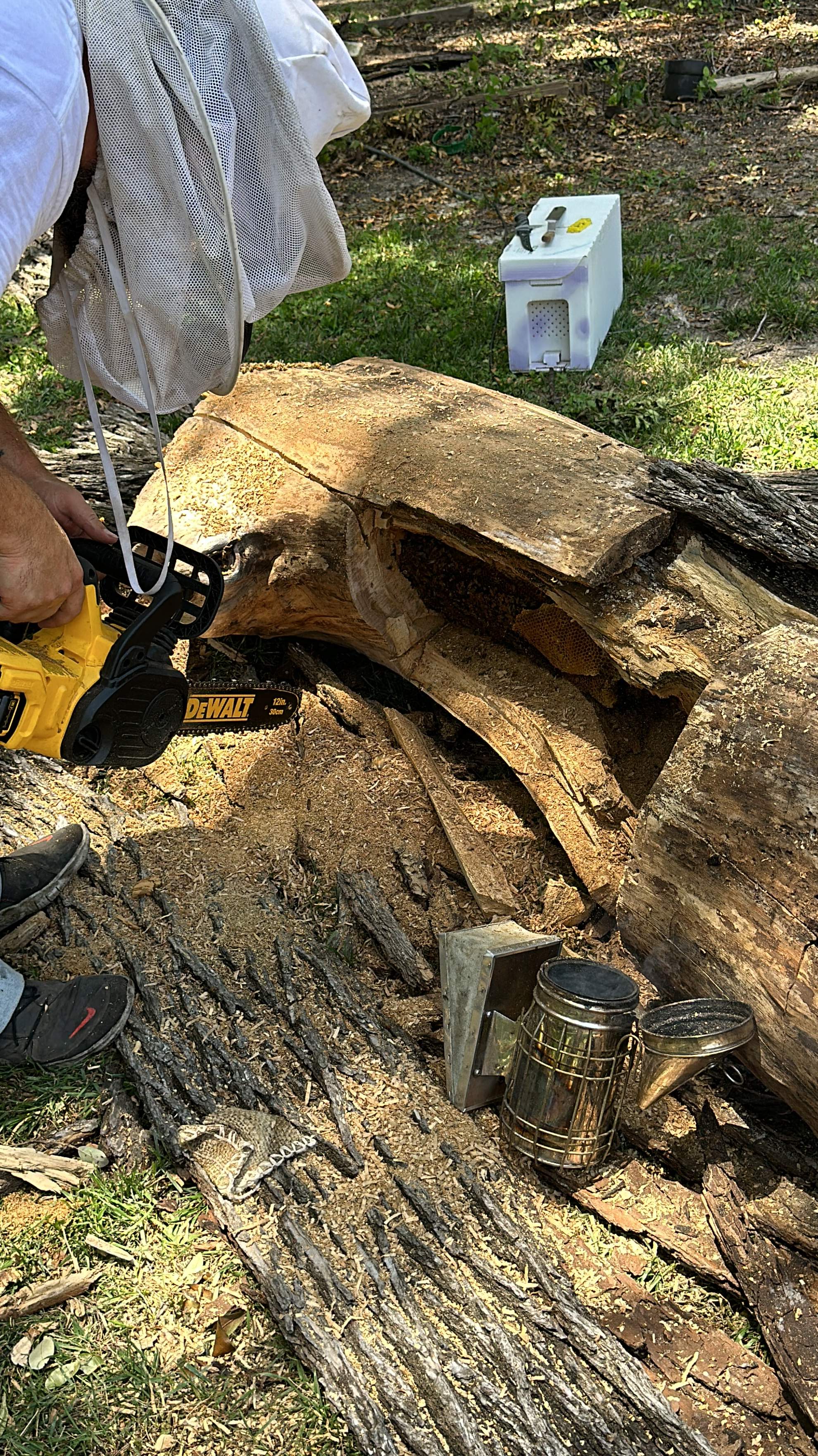 Two More Trees, One More Yard by Rockwall Honey Bee Company