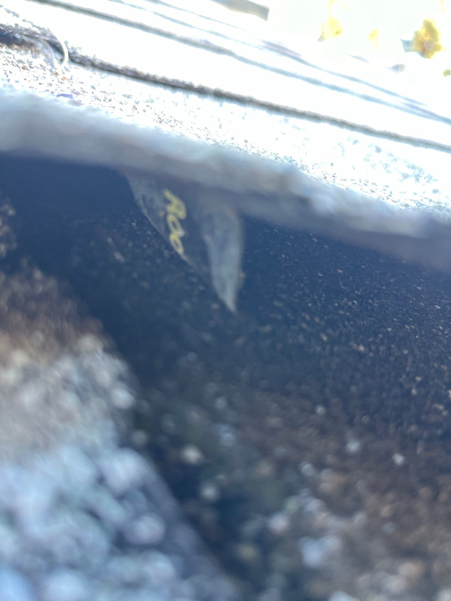 Project in Medical Lake by Connolly Construction Company