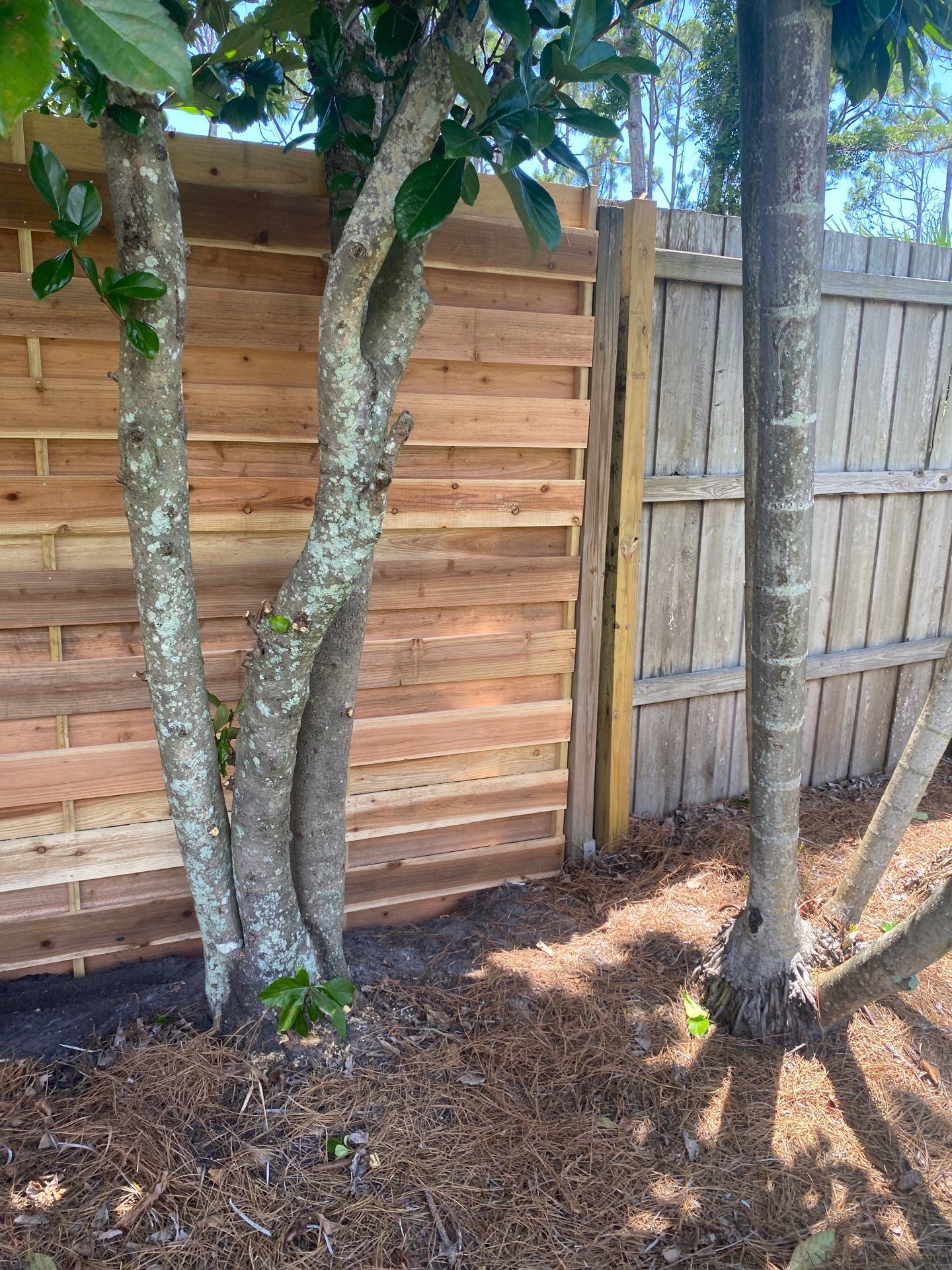 1657 Bayshore Dr  by H&Y Fence