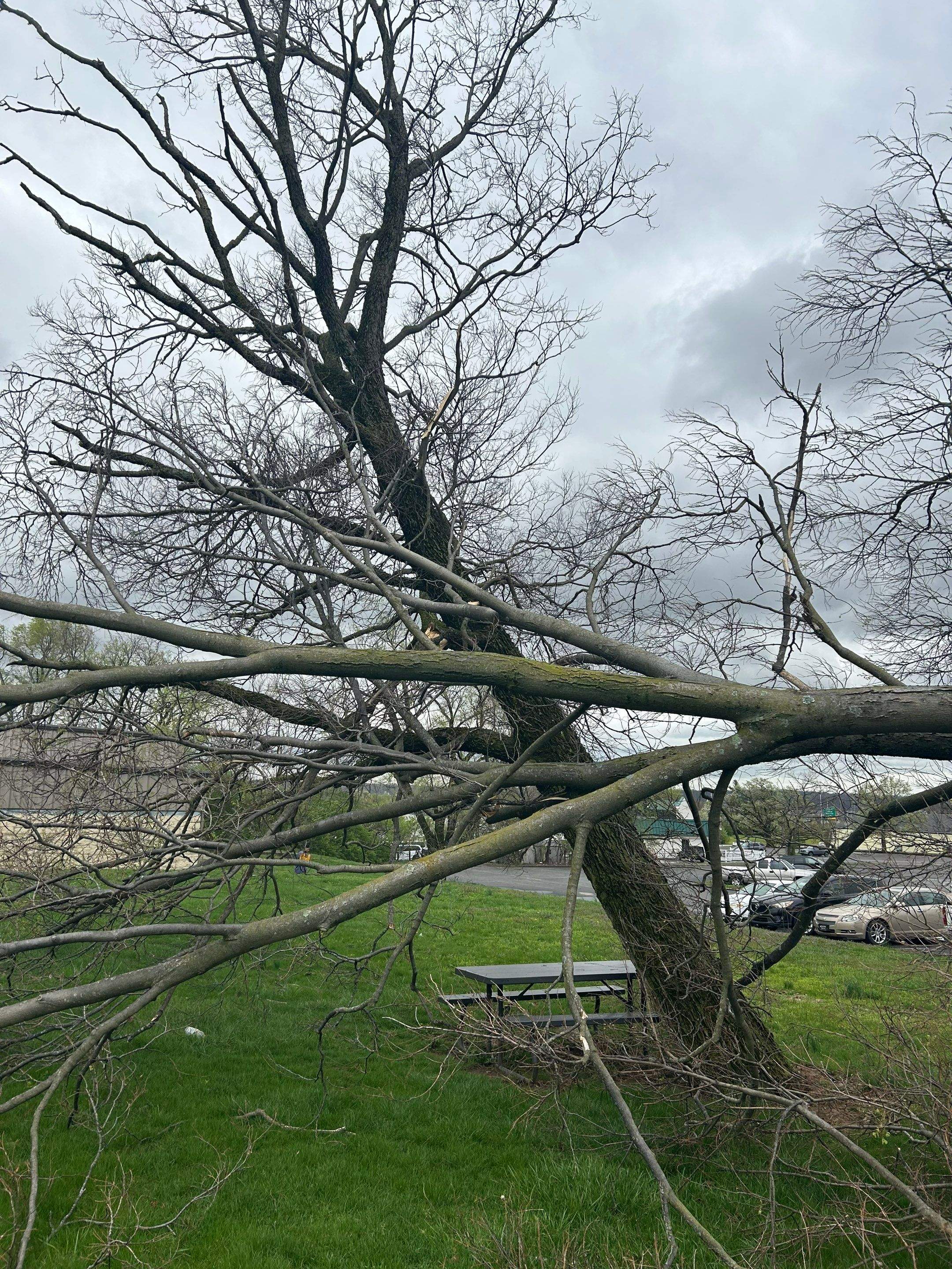 Water Damage Claim in Cincinnati by FLAPA & KeyStone