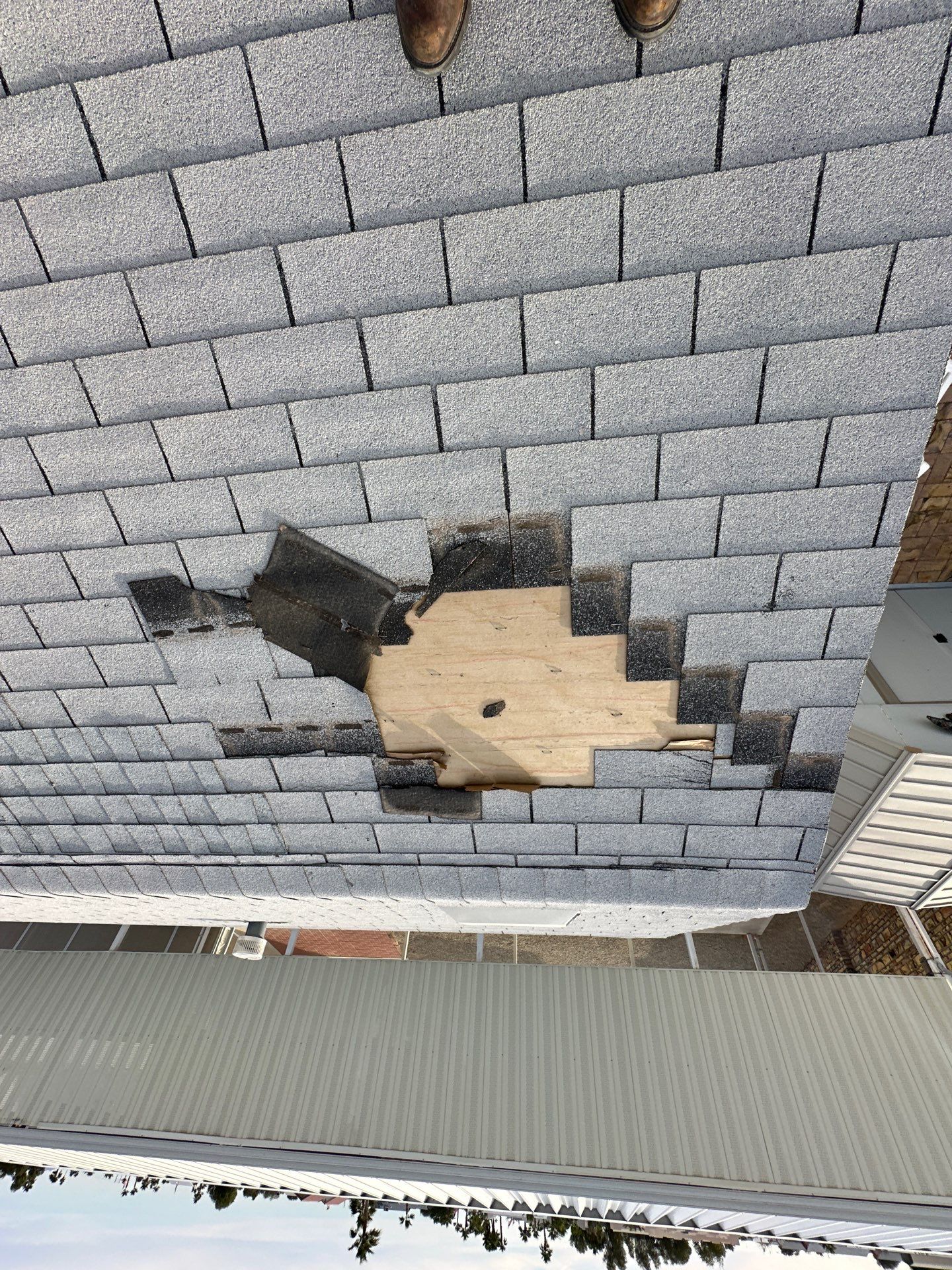 Silver Birch Shingles by Reimagine Roofing