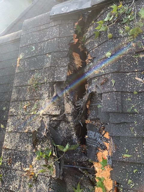 Roof replacement by wind damage and tree felling by Just Brilliant Restoration JBR