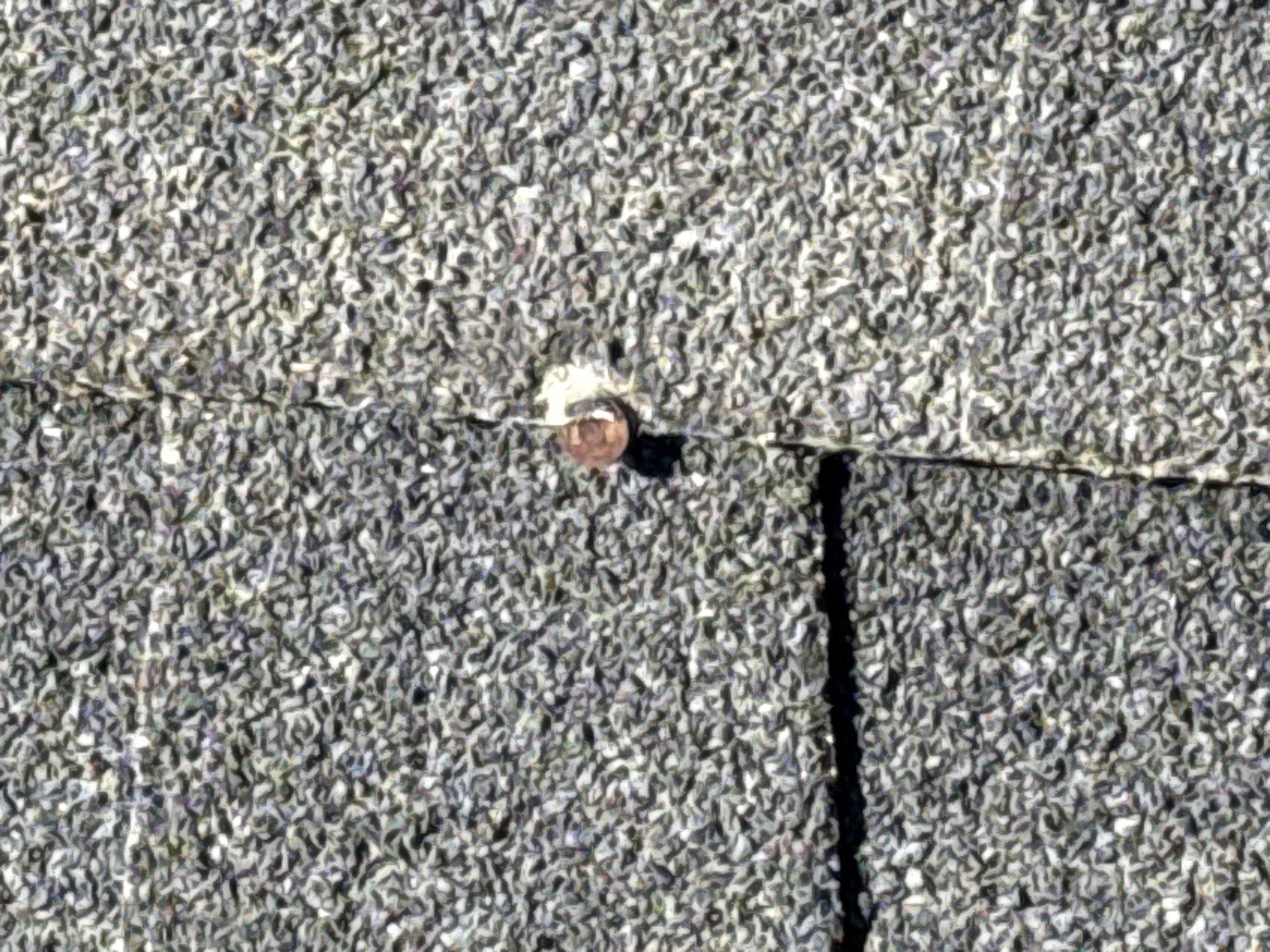 Comprehensive Residential Roof Replacement on Single-Story Nampa Home by Olive Roofing