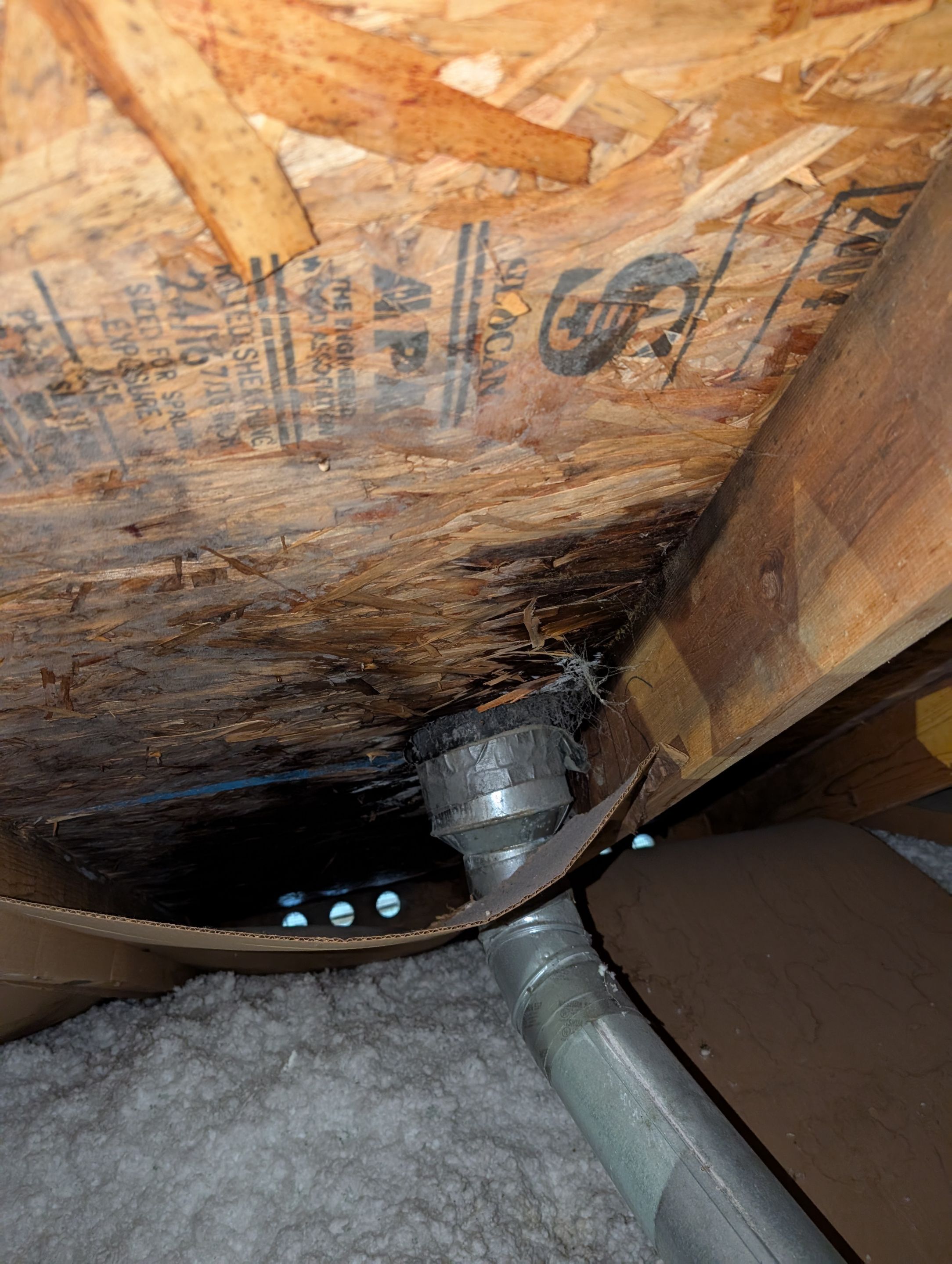 EuroShield in Sammamish by Roof Smart