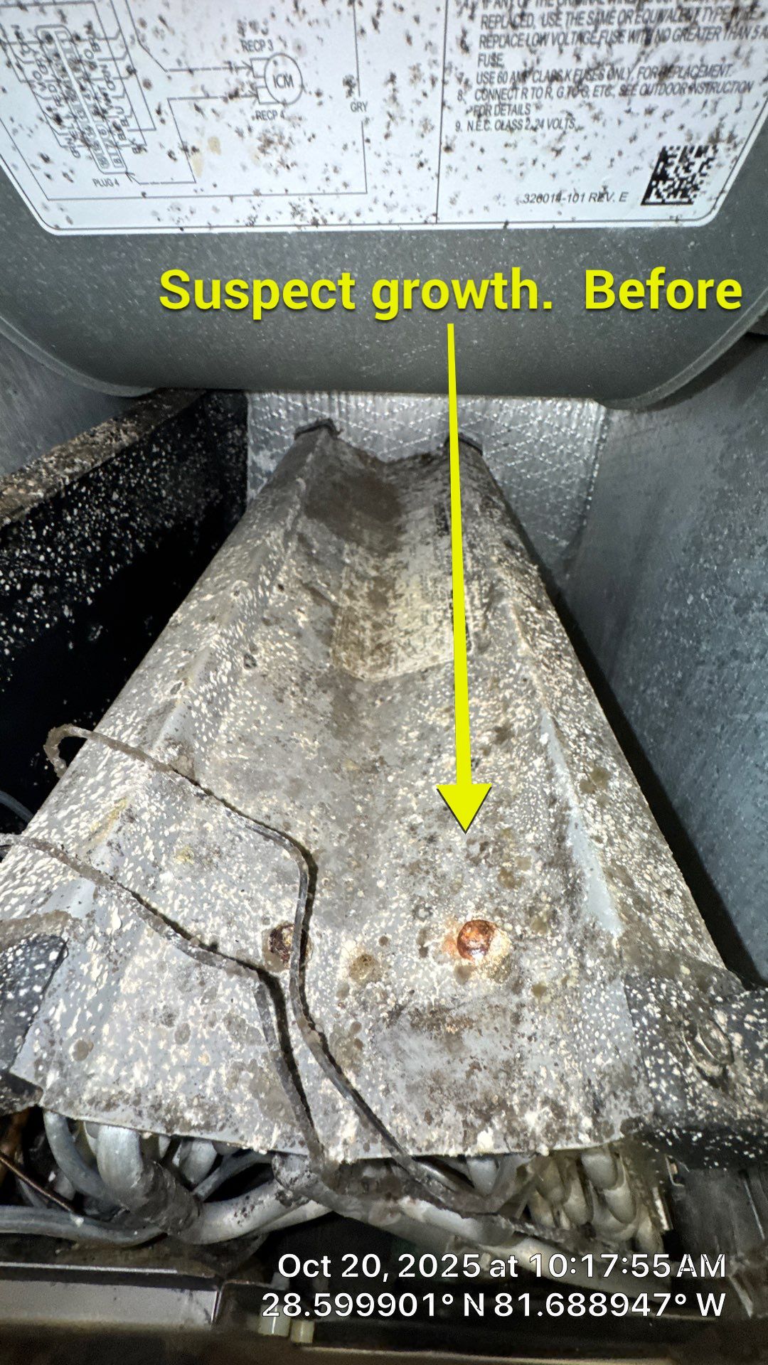 Air Duct Cleaning in Montverde by Hygienic Air, Inc