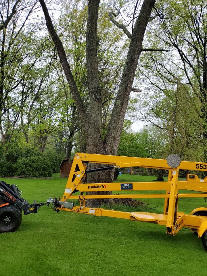 Tree Removal using Tree Removal by Mike Jones & Sons Tree Service LLC 