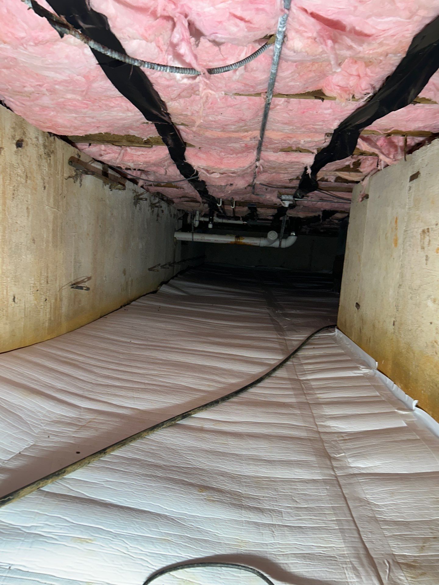 Project in Spring Grove by Daleen Restoration & Remediation