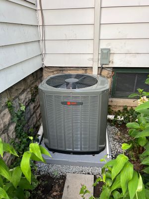 Project in Springfield