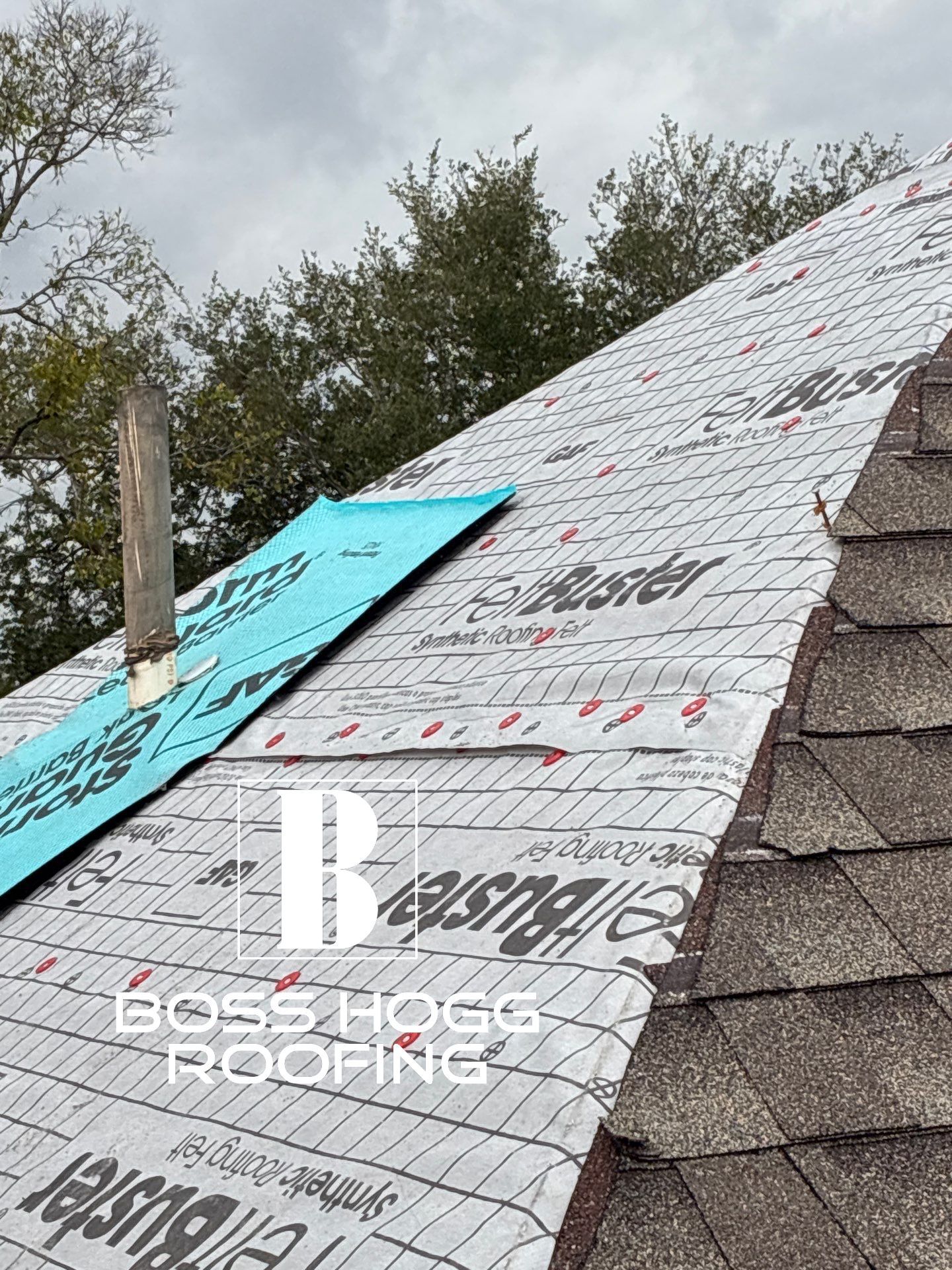 GLORIA M by Boss Hogg Roofing