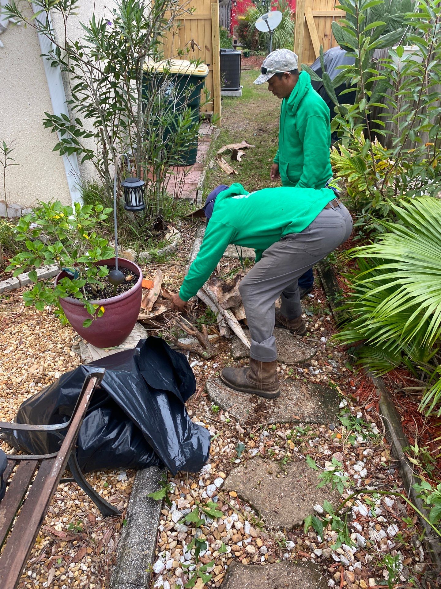 Tree Trimming | Residential by ProGreen Services
