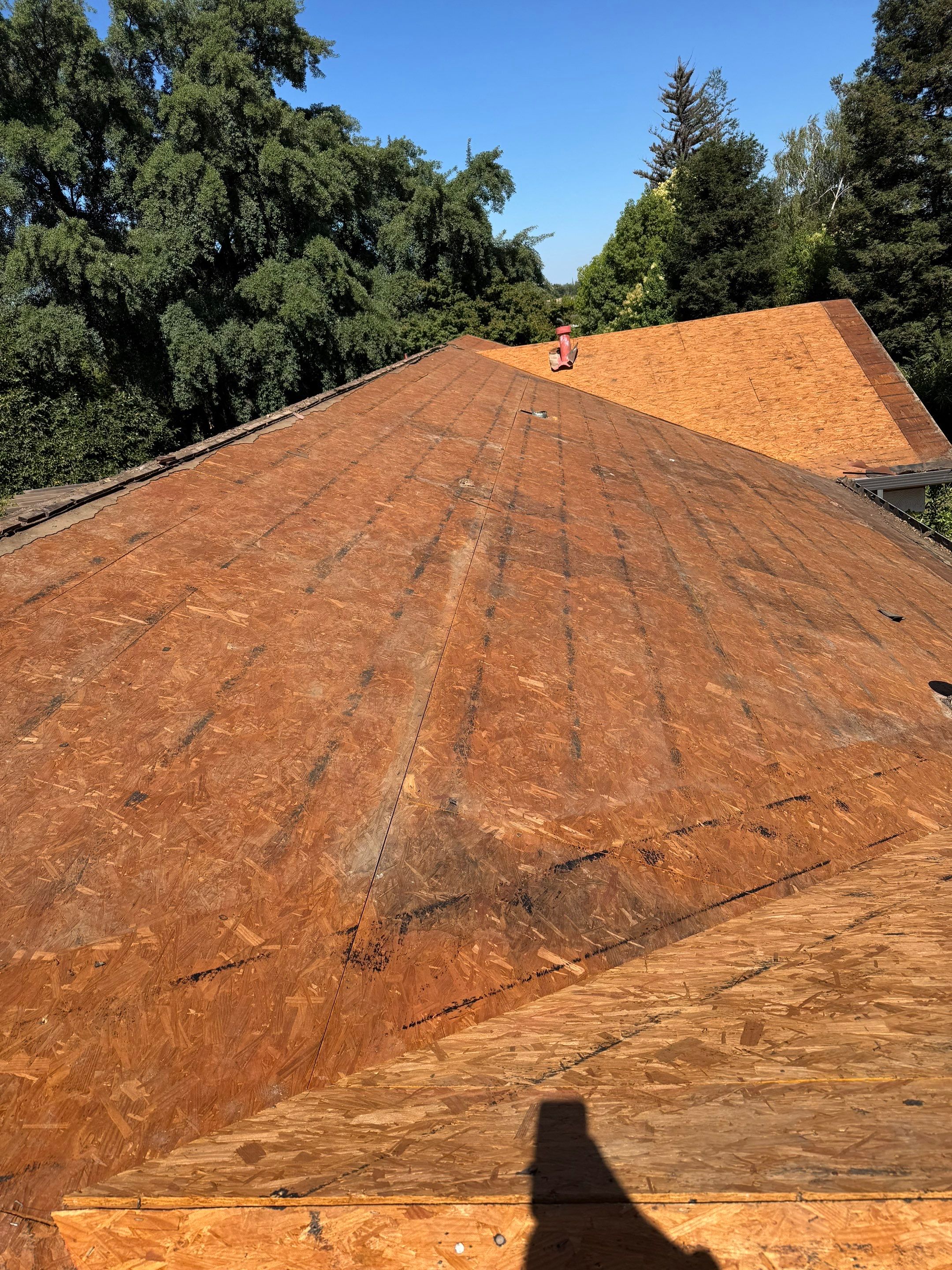 Presidential shingle roof by Straight Edge Roofing Inc