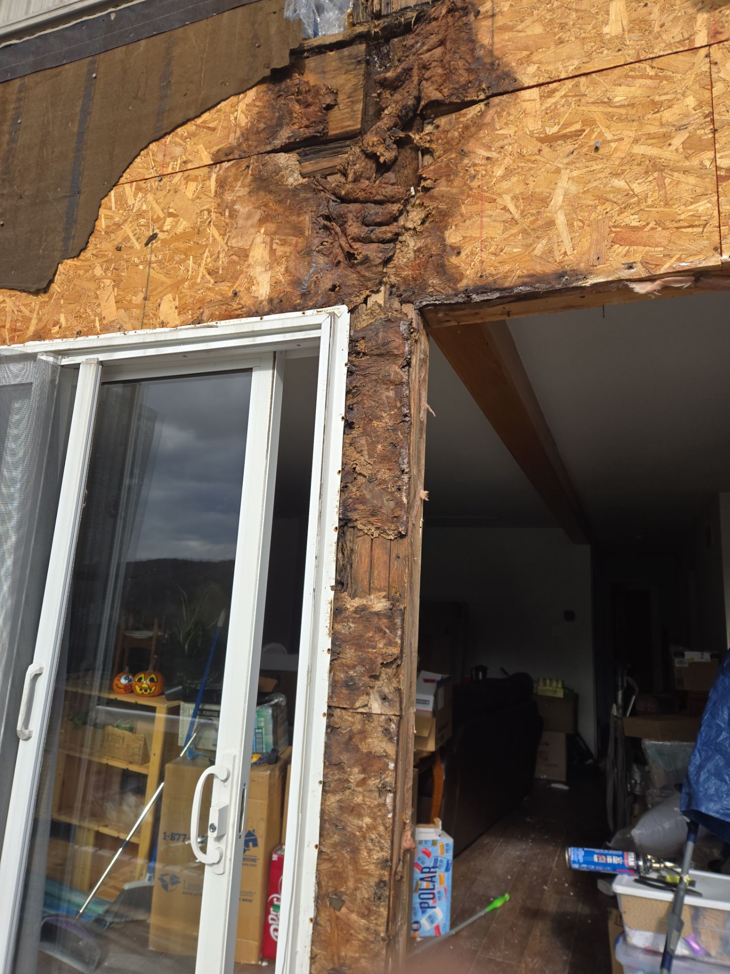 Royal Siding and Okna Windows by Aspen Home Improvements