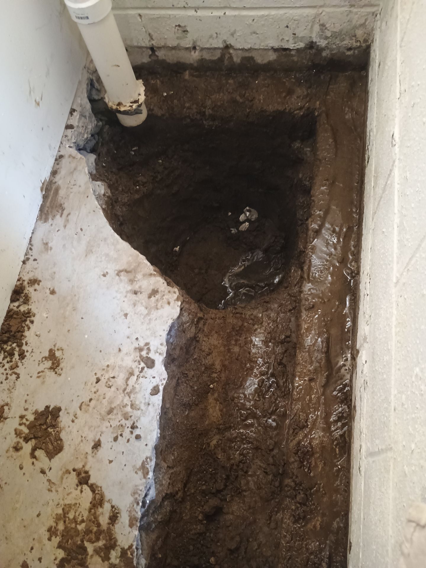 Targeted Drain Tile for Annie by Waterproofing Northeast