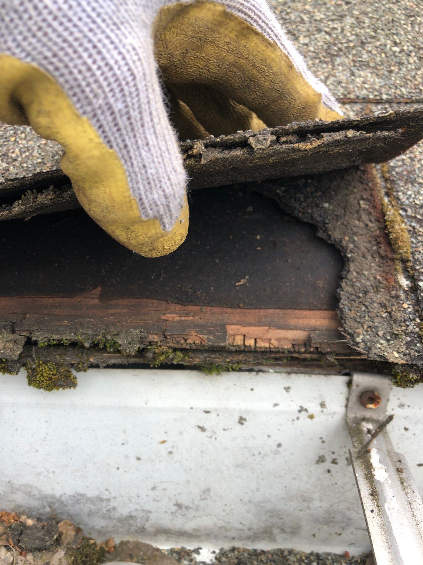 Project in Seattle by Peaks and Valleys Construction