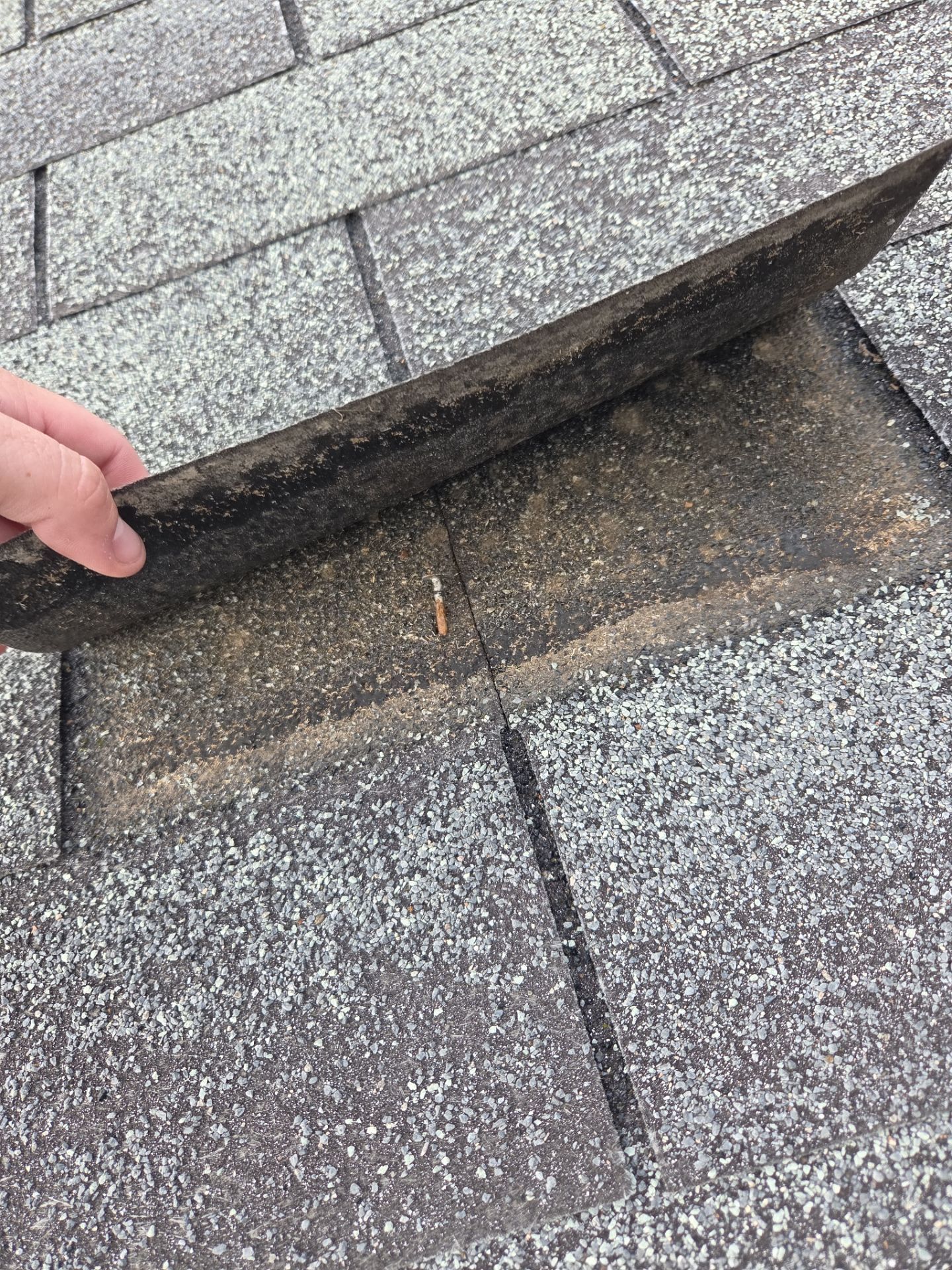 Asphalt Roof Replacement in Warrior by NANOROOF Alabama